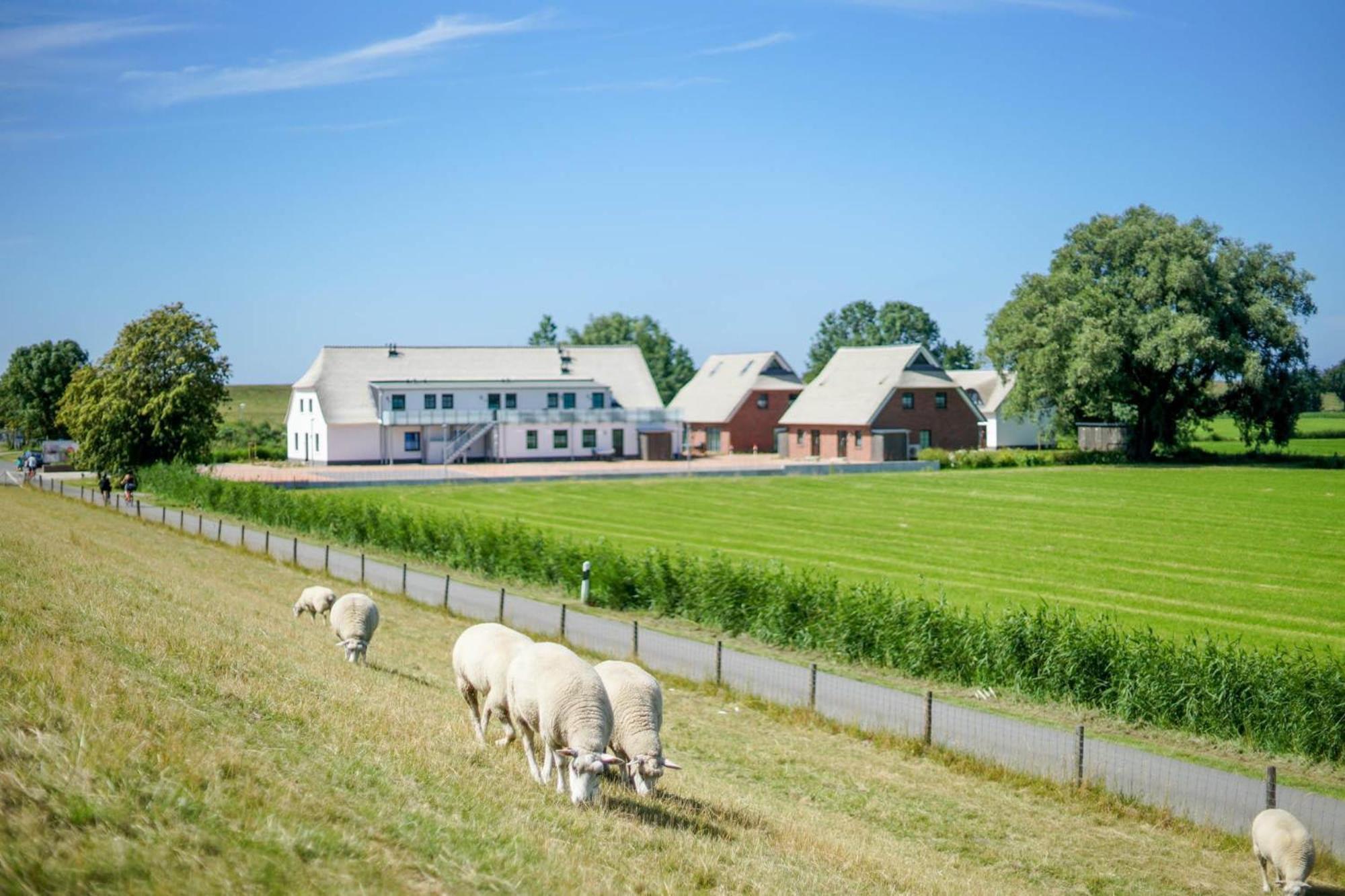 Ferienanlage