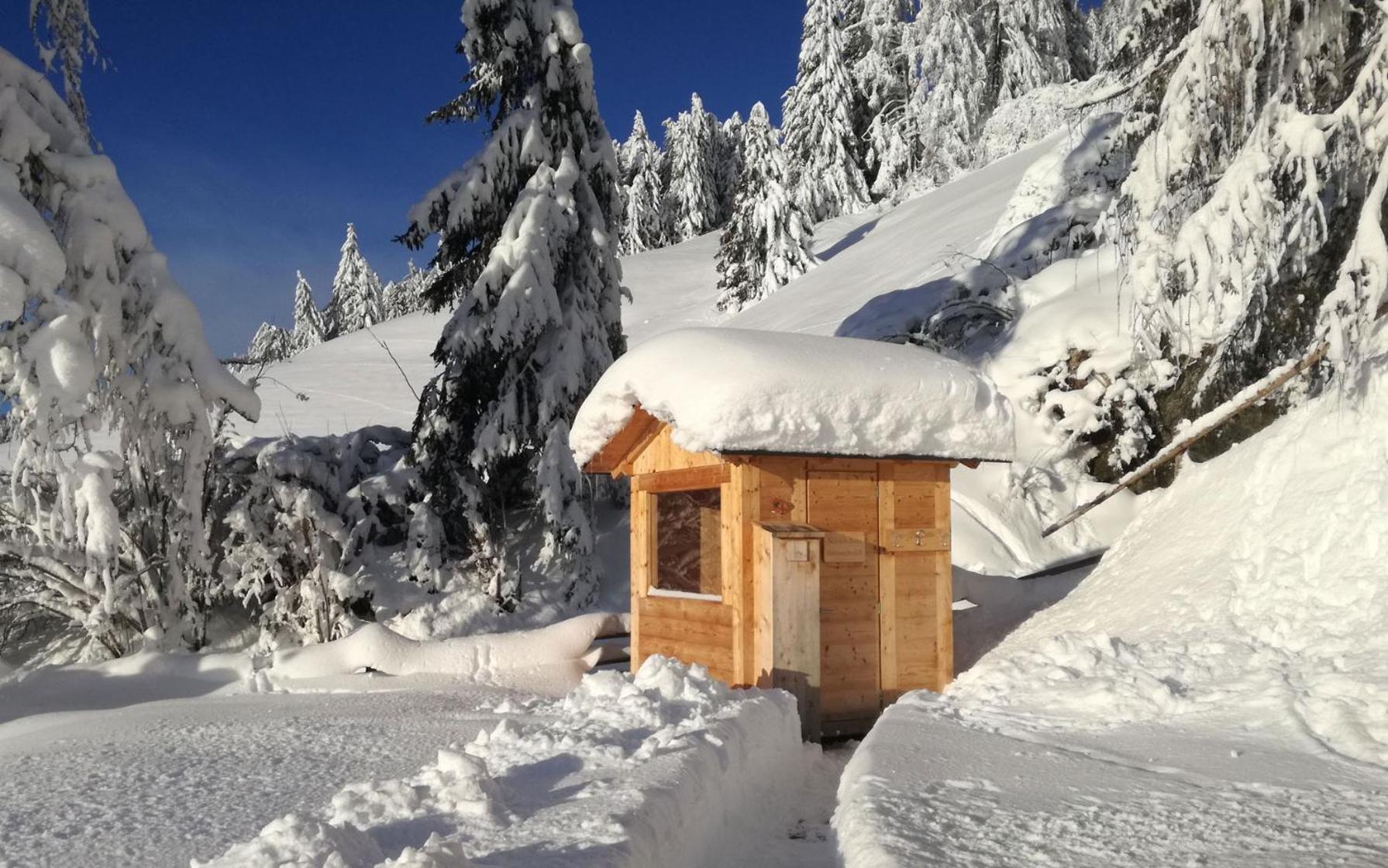 Chalet Panorama Himmelreichhof