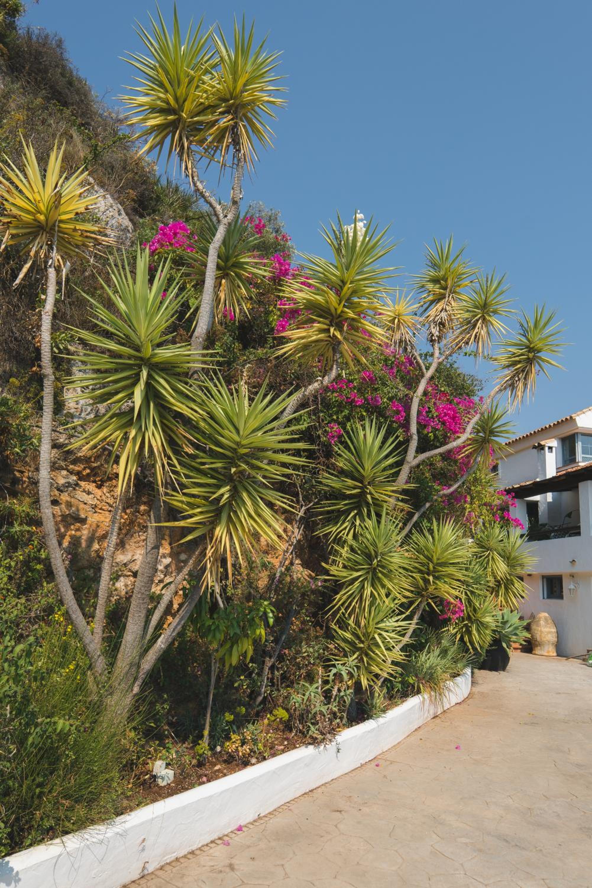 B&B Muse Marbella