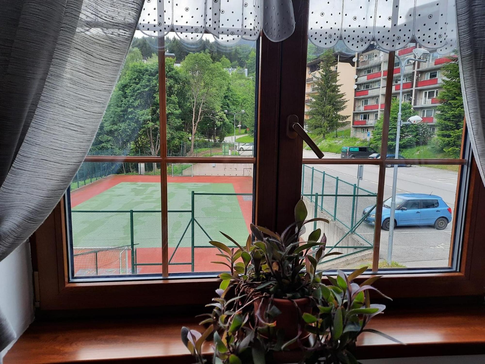 Apartmán Borůvka