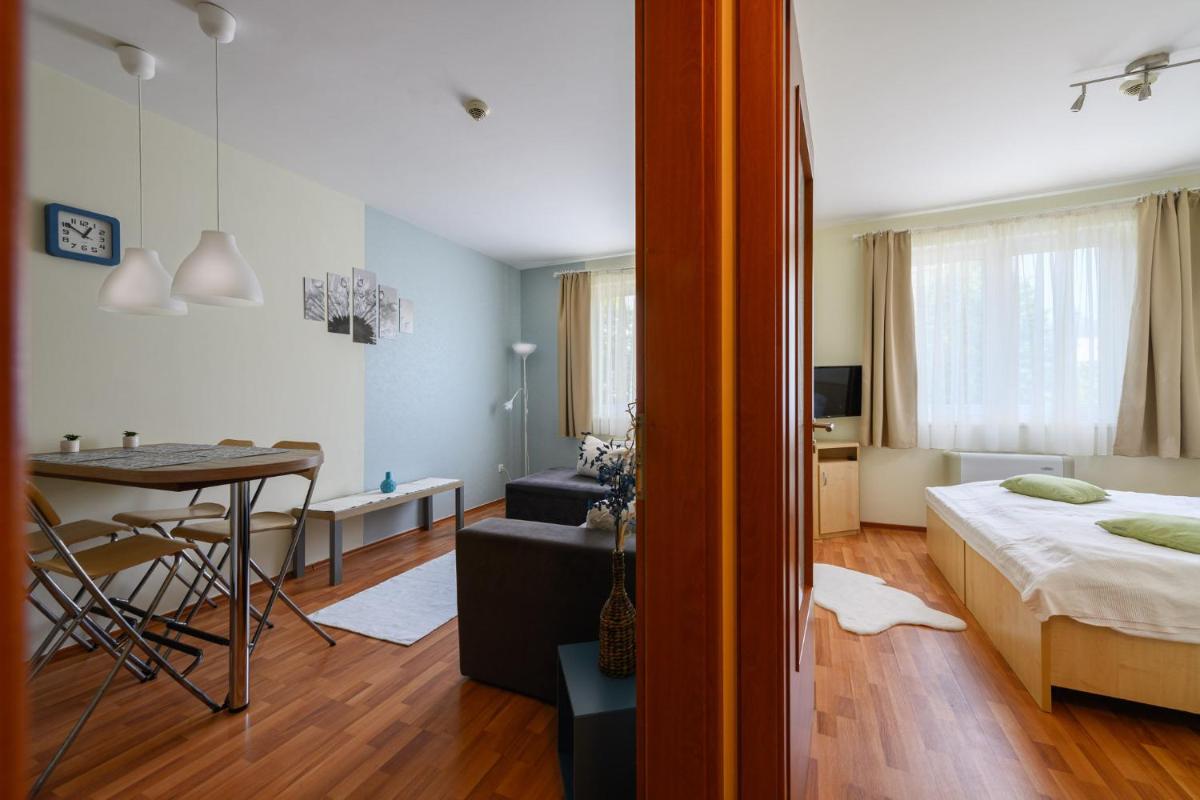 Mirage Wellness Apartman view 4