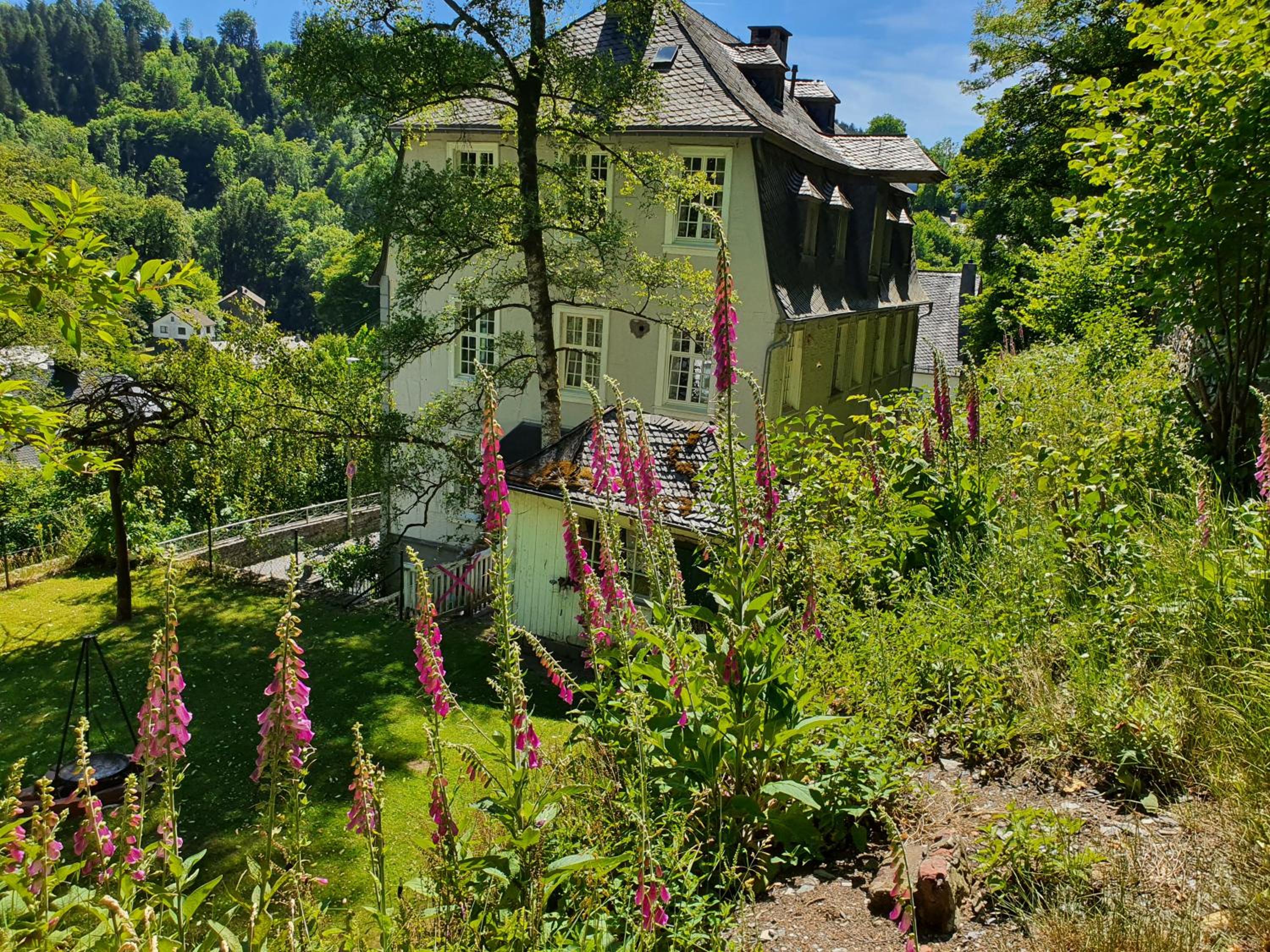 Haus Barkhausen view 5