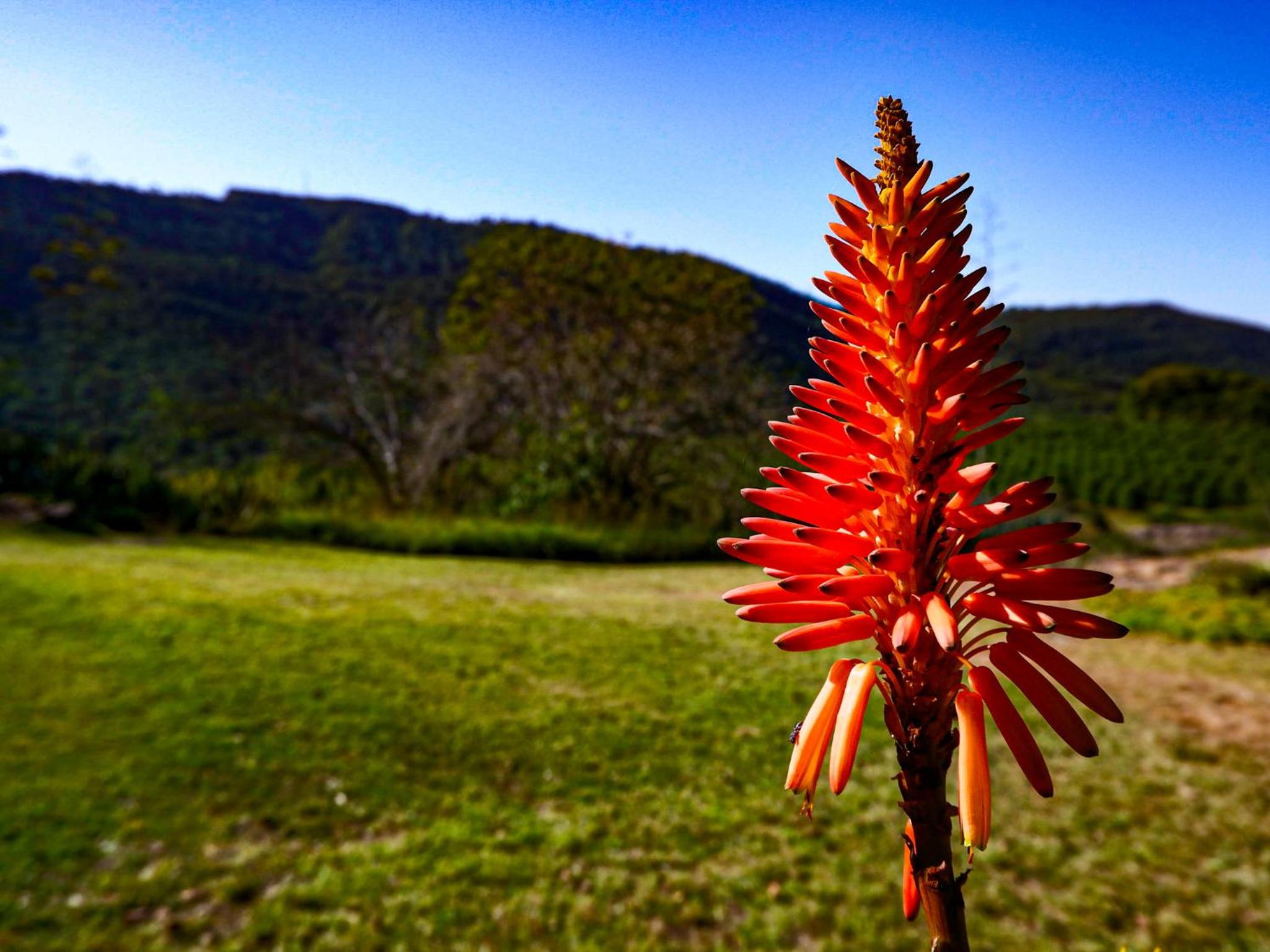 Hazyview Vacations - Lions Rock Rapids - Luxury Tented Camp - Property Image 29