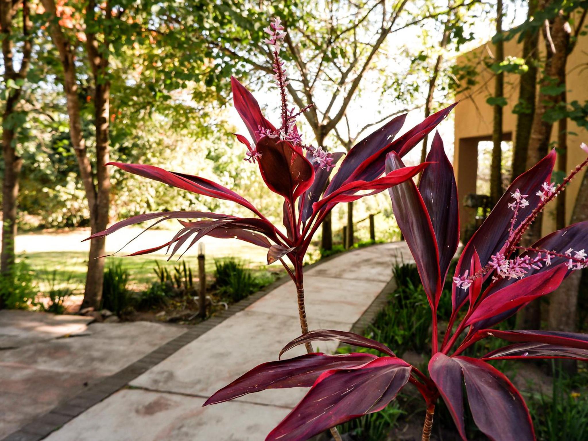 Hazyview Vacations - Lions Rock Rapids - Luxury Tented Camp - Property Image 22