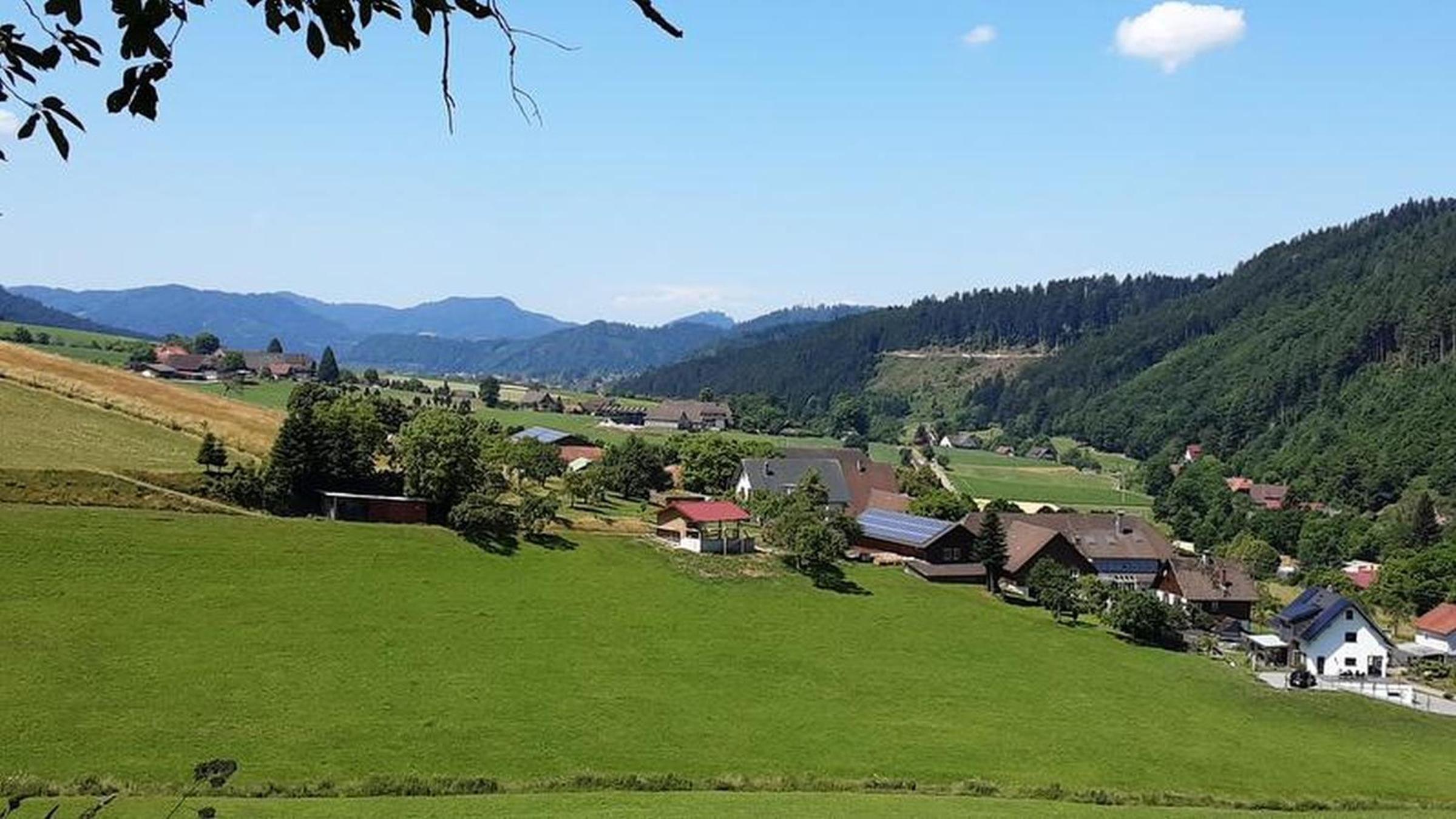 Ferienwohnung Schöner