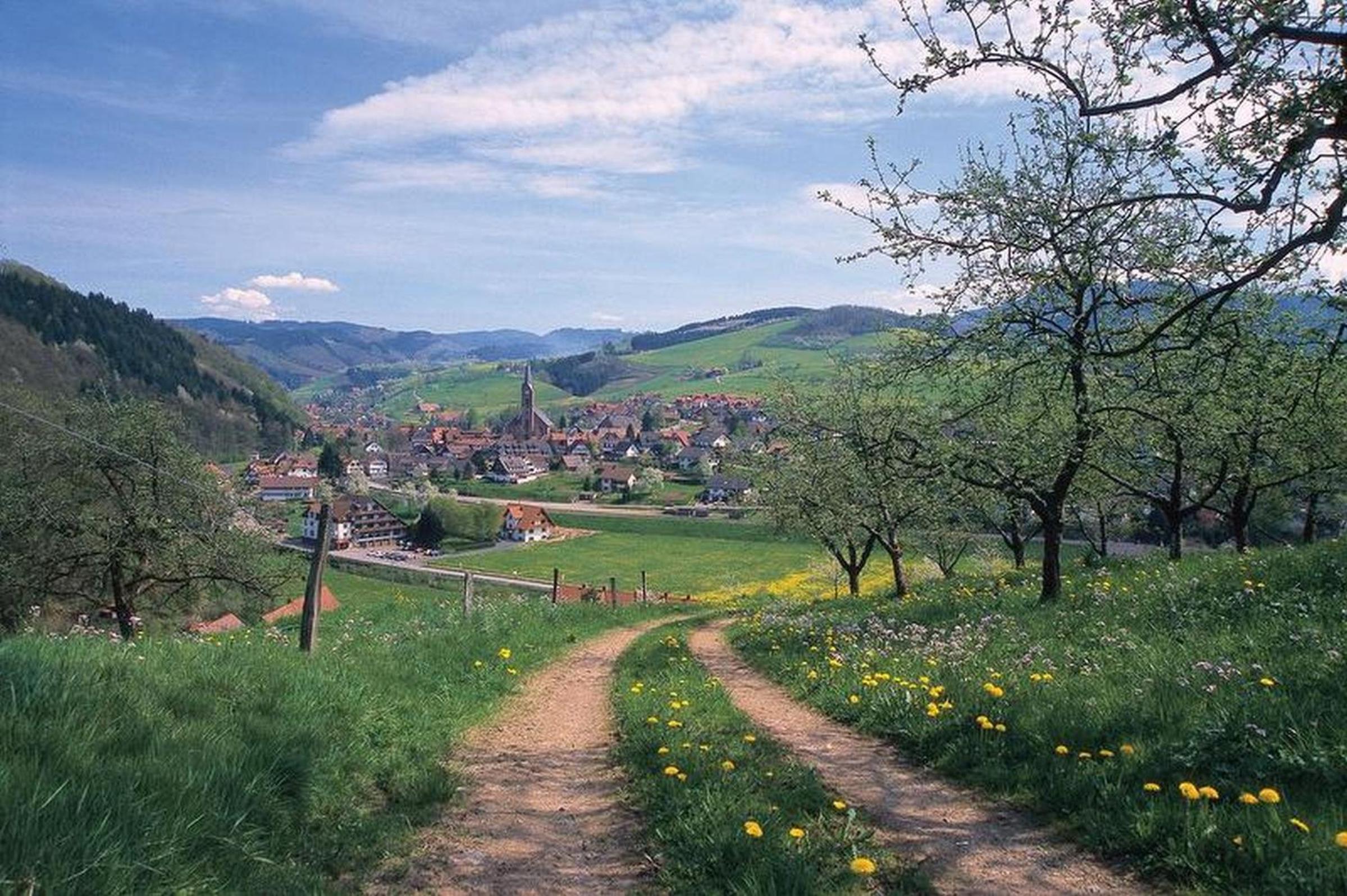 Ferienwohnung Schöner