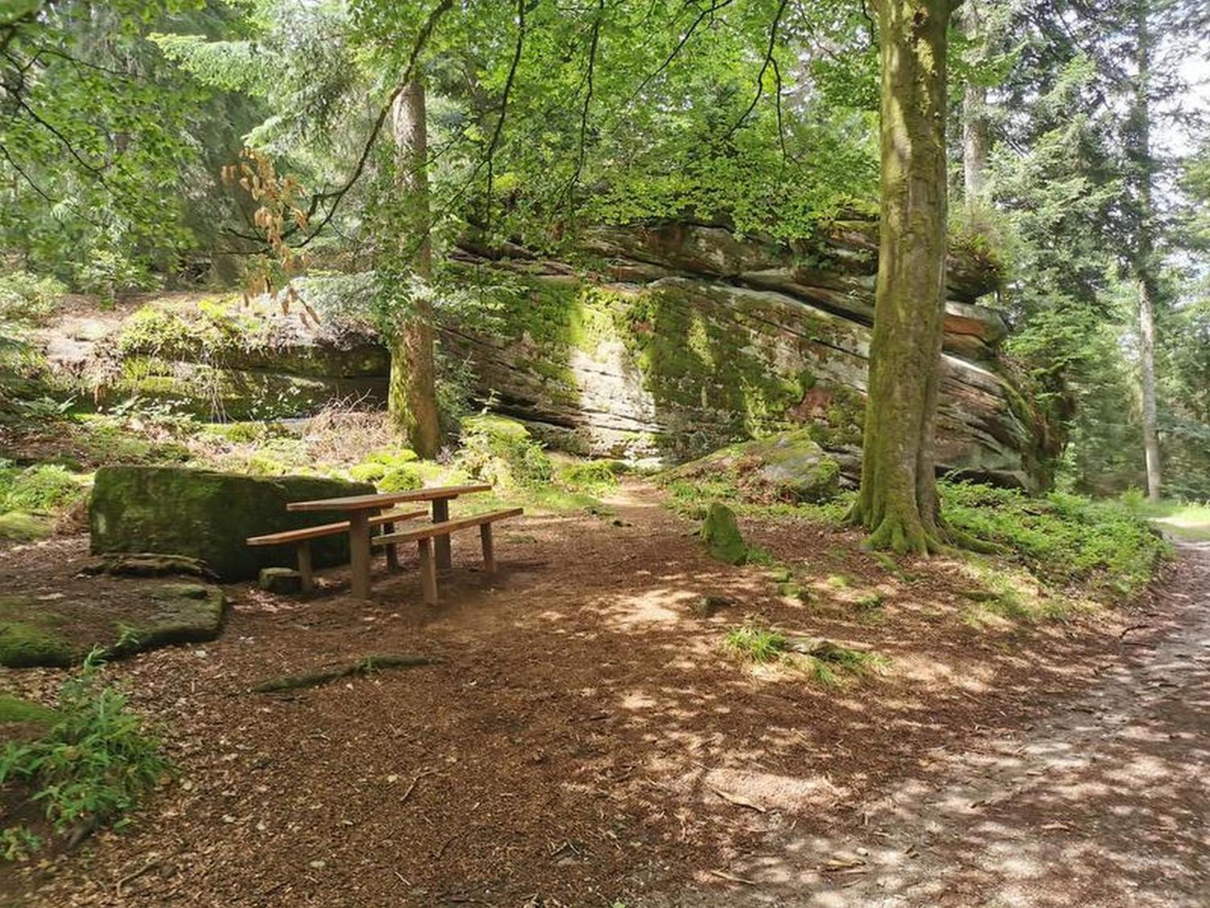 Ferienwohnung Schöner
