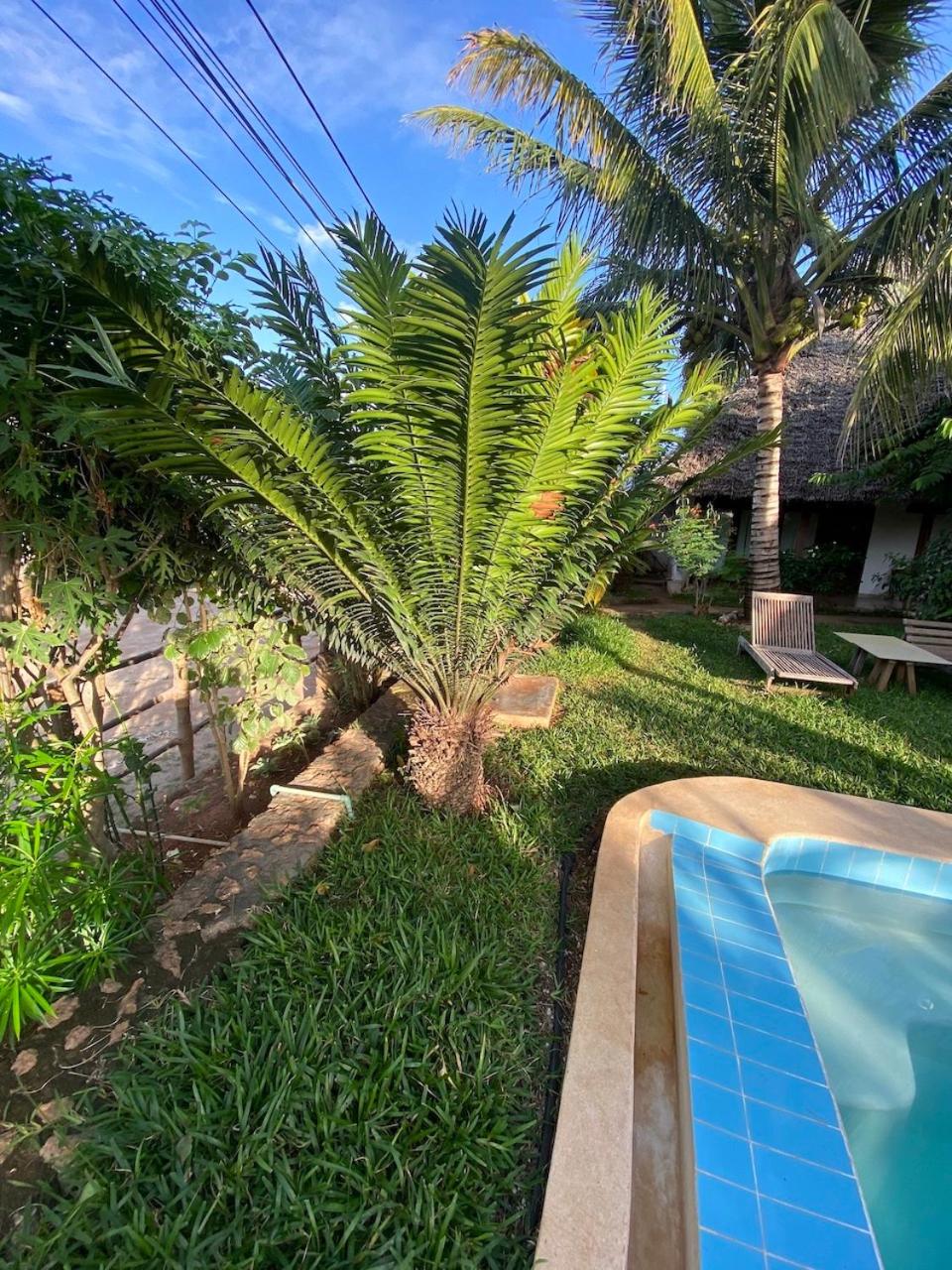 Art Hotel Zanzibar