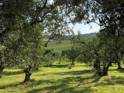 Photo 32