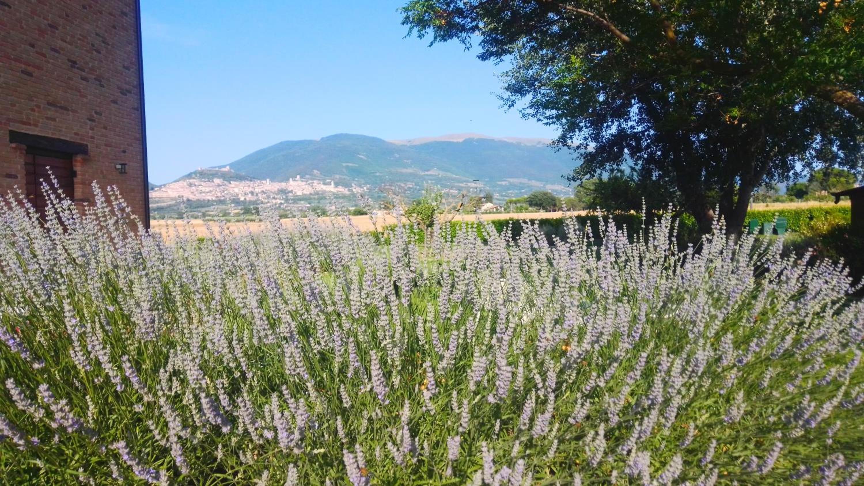 Assisium Agriturismo