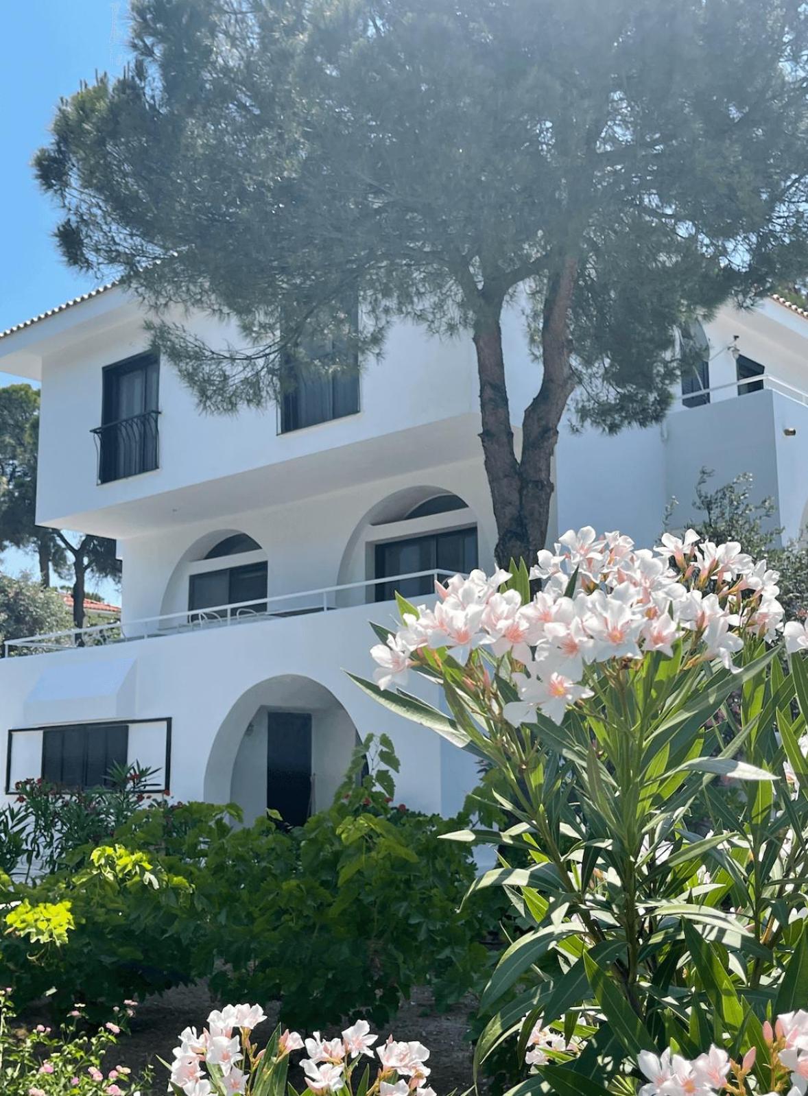 The Azero Skiathos view 5