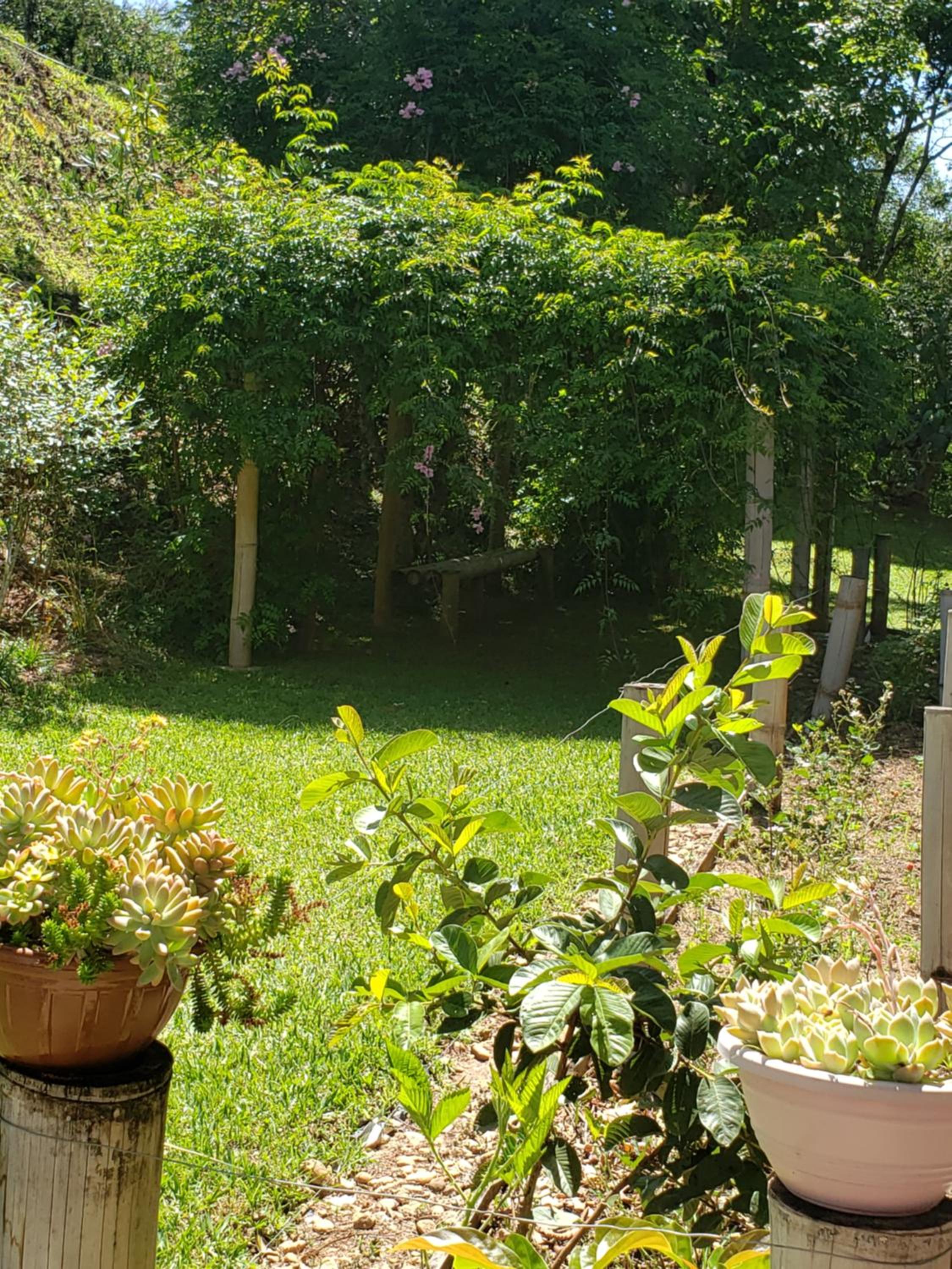 Sitio Natividade