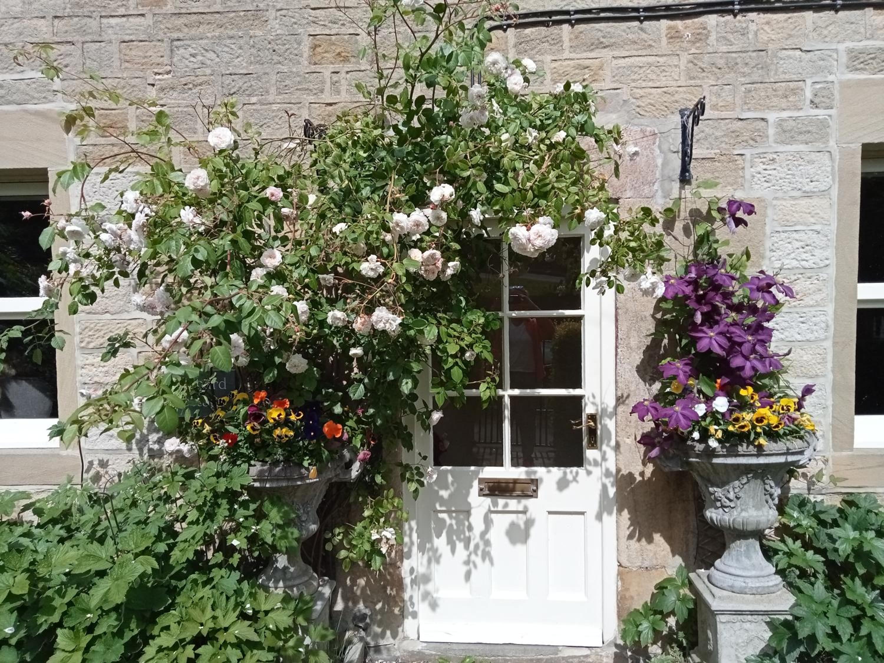 Orchard Cottage