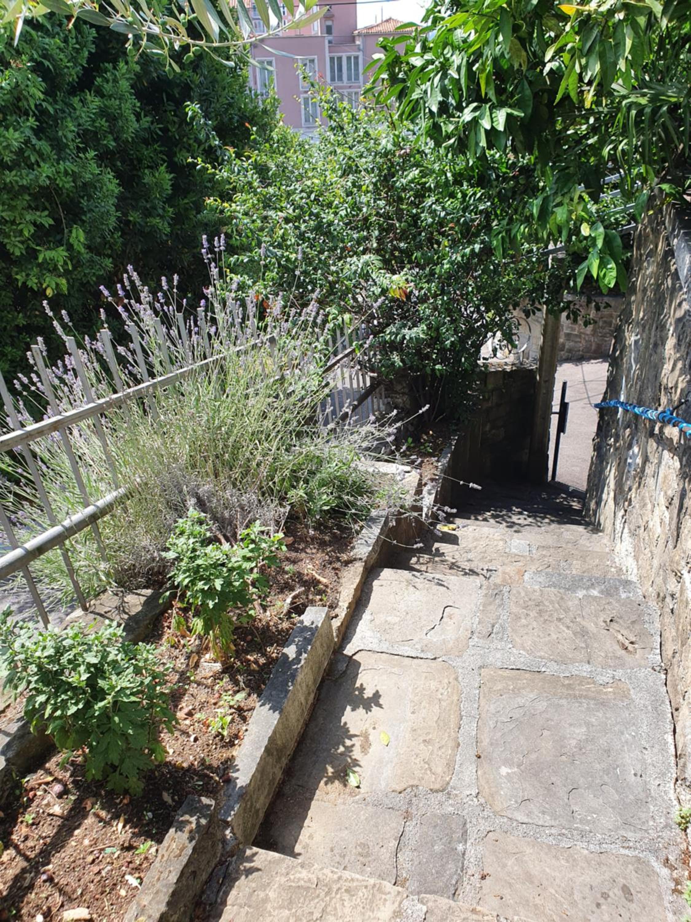 Apartmaji Pregelj