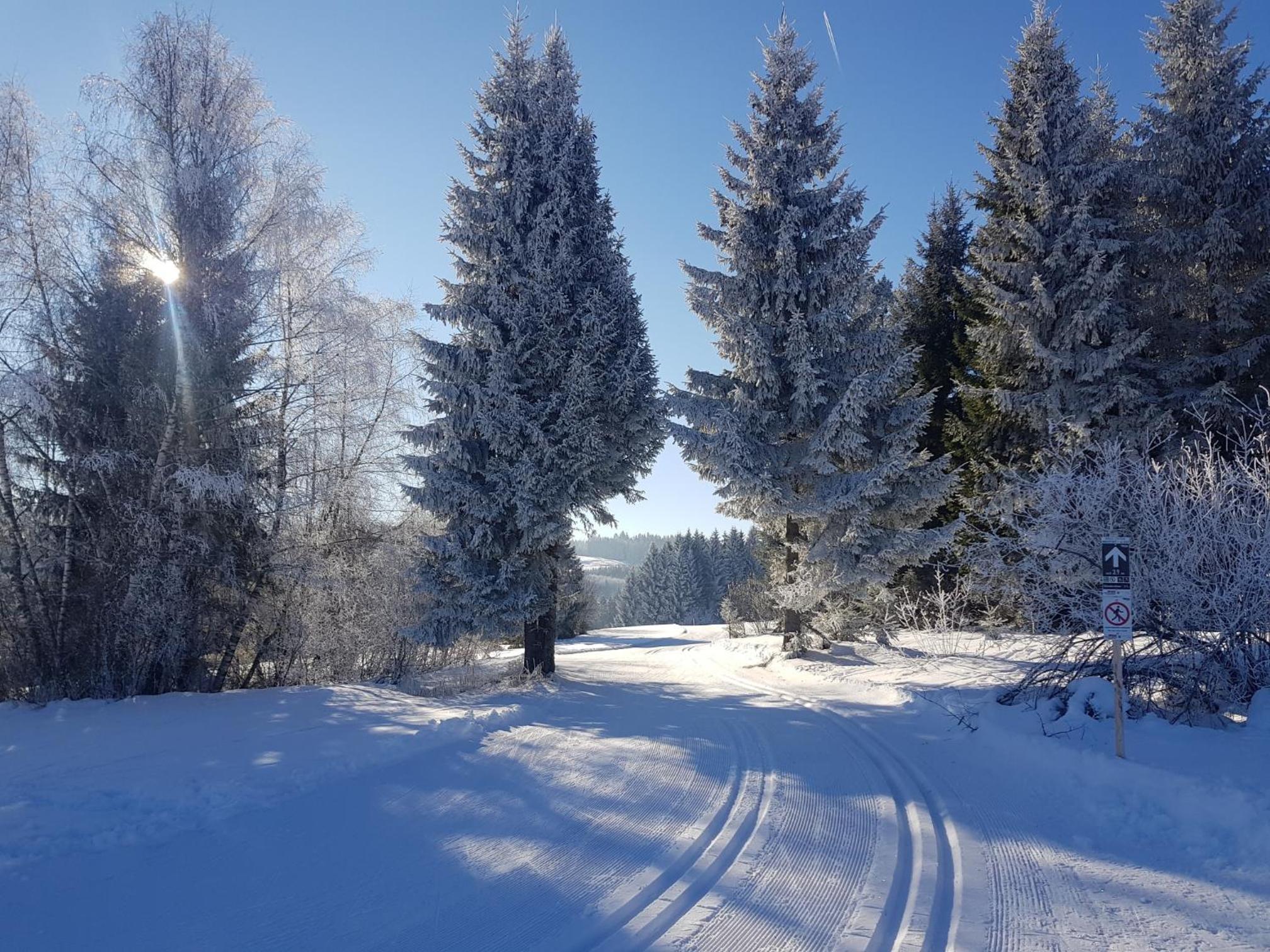 Ferienwohnung im kuhlen Allgäu