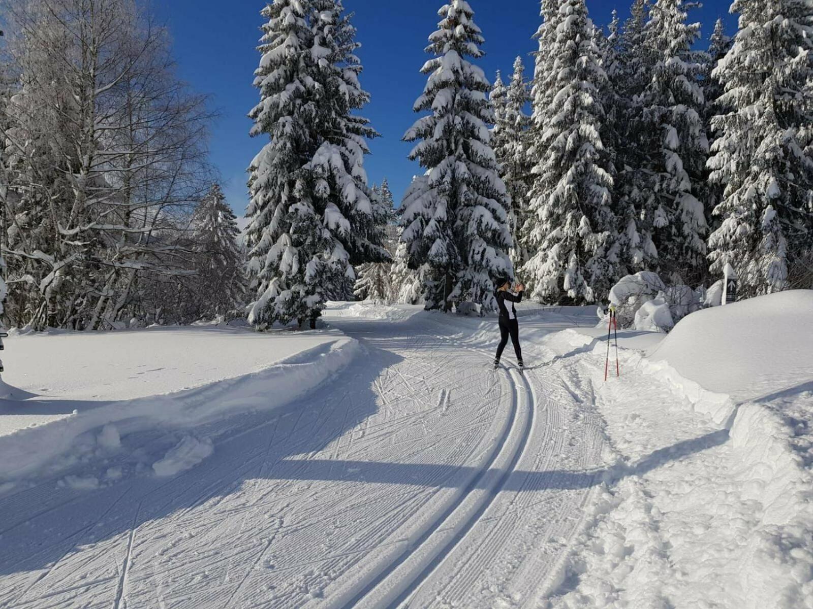 Ferienwohnung im kuhlen Allgäu