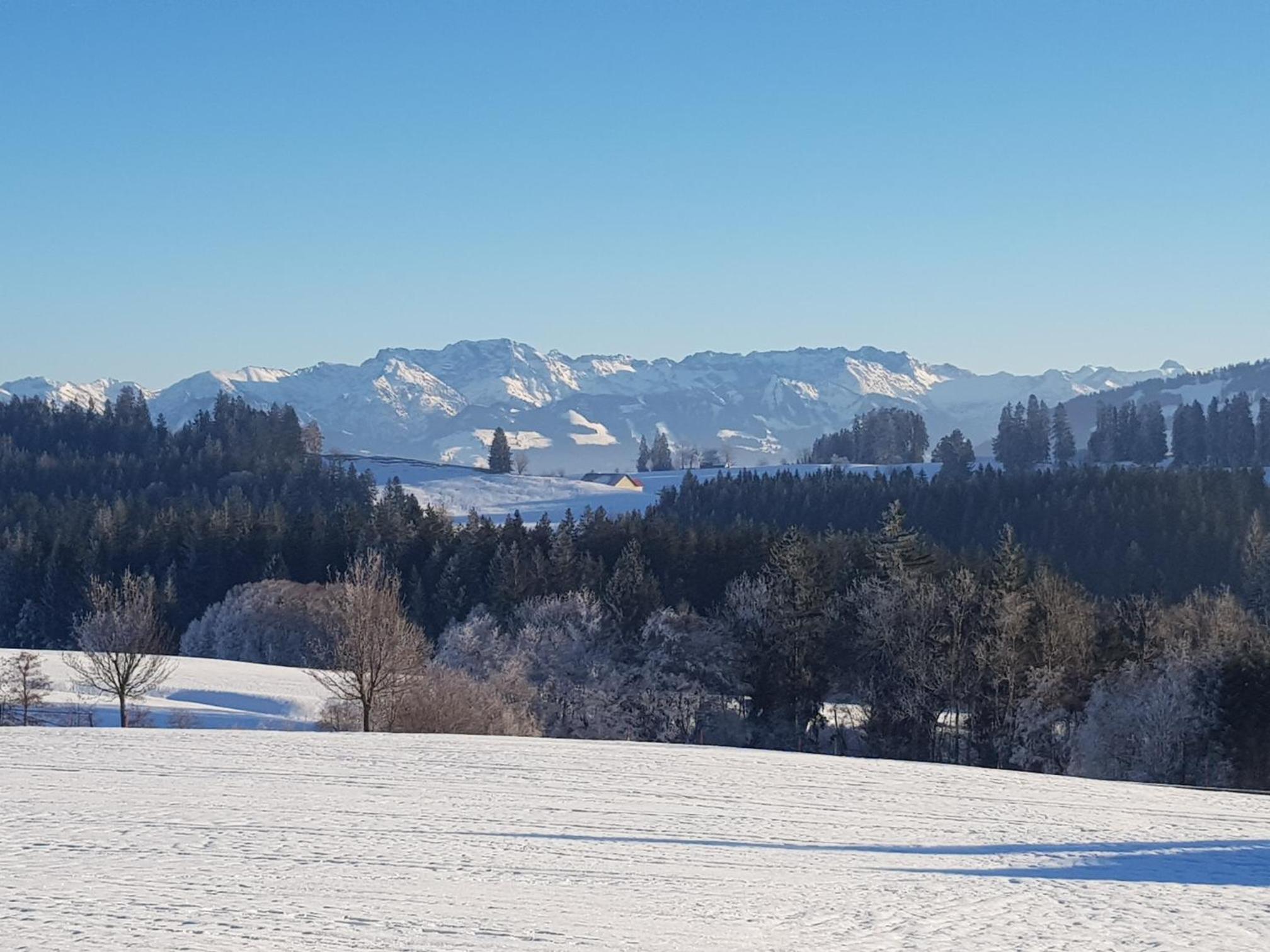 Ferienwohnung im kuhlen Allgäu