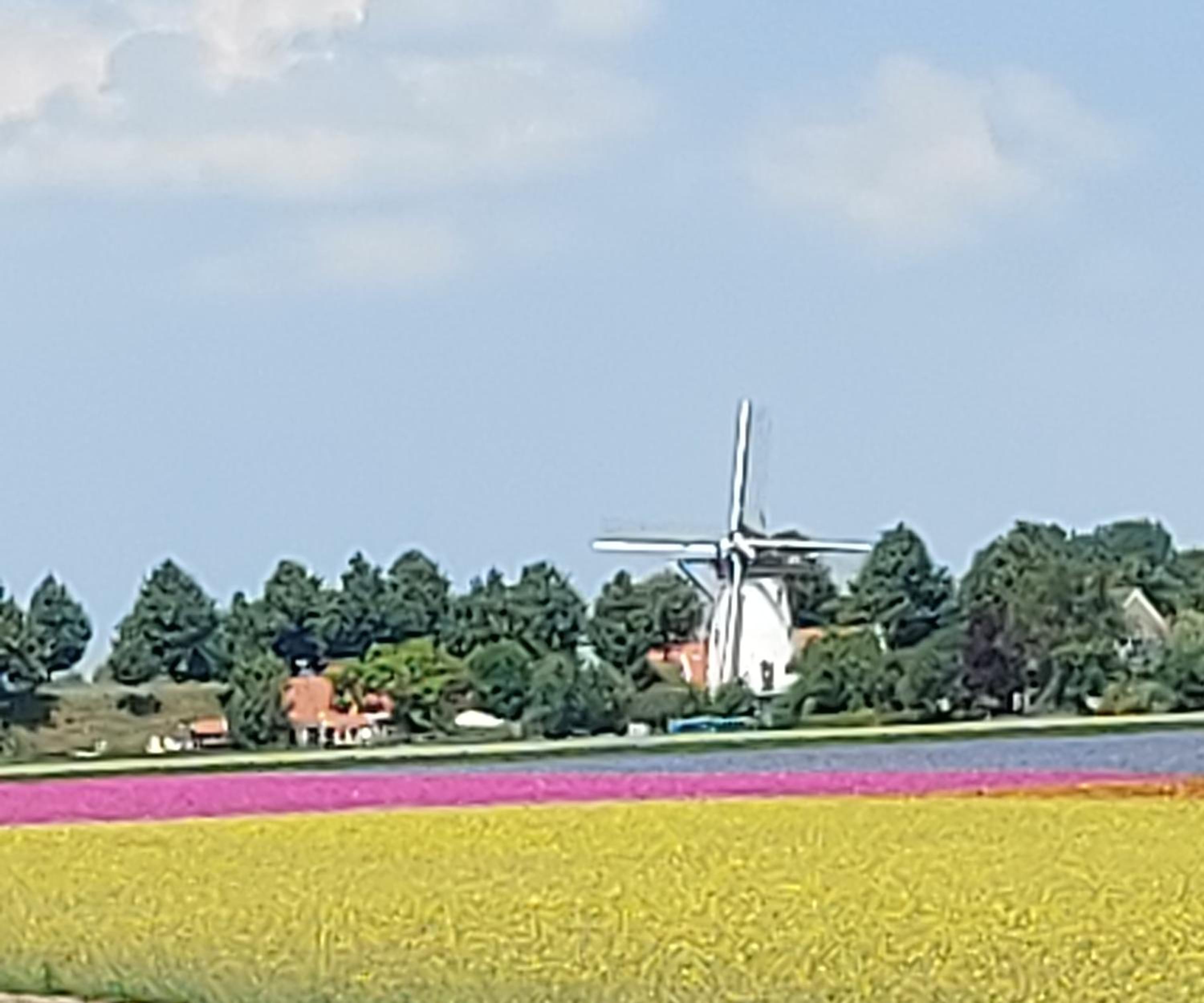 De Nieuwe Stal view 3