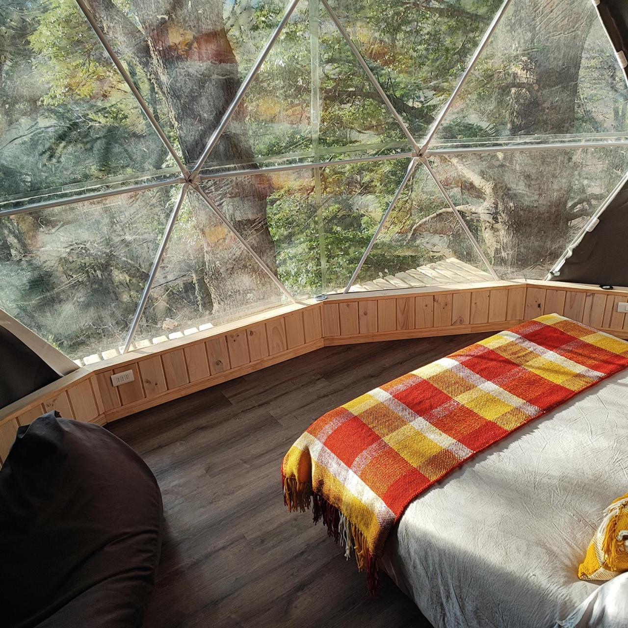 Malalcahuello Eco Glamp view 4