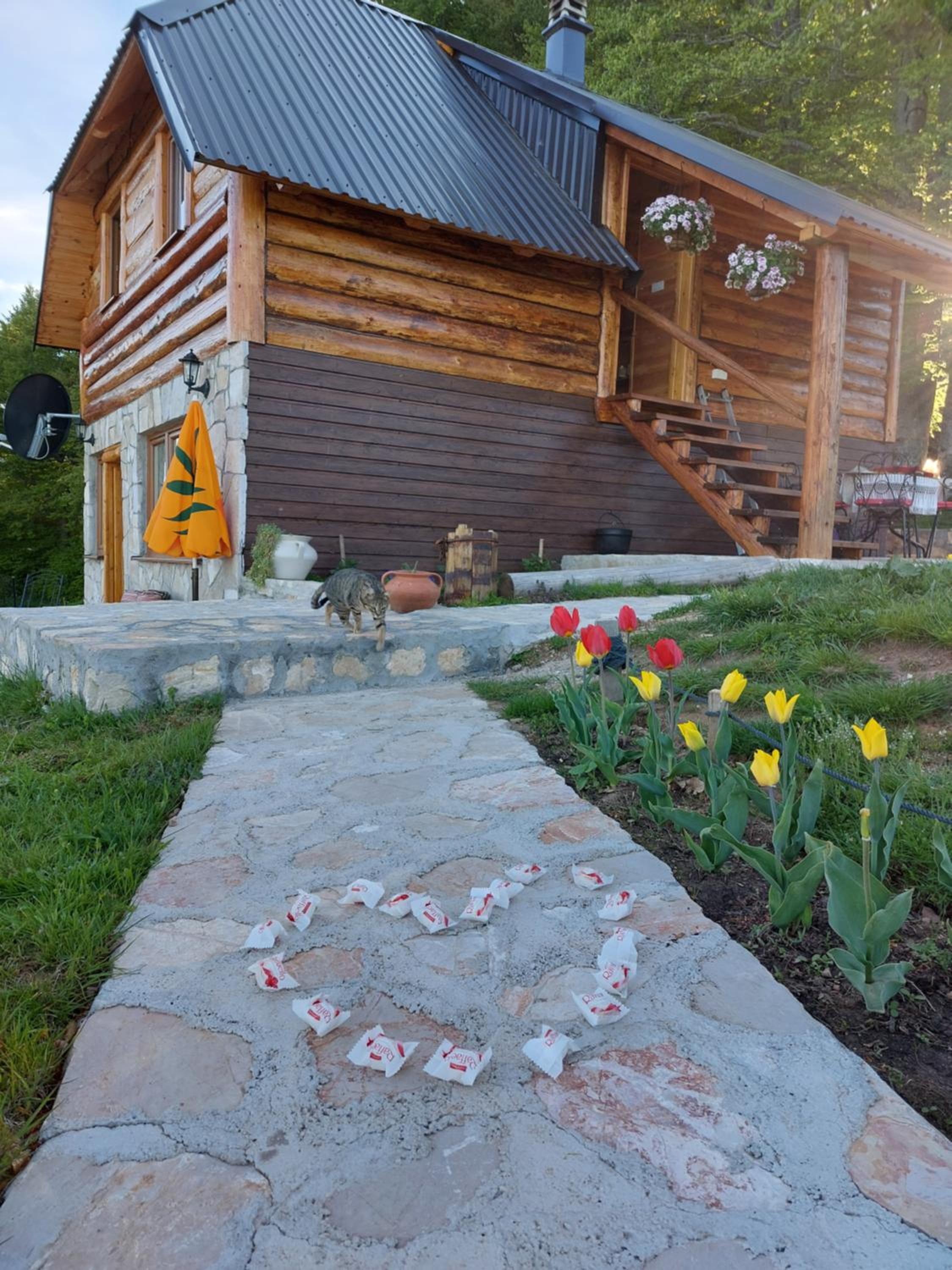 Photo 43