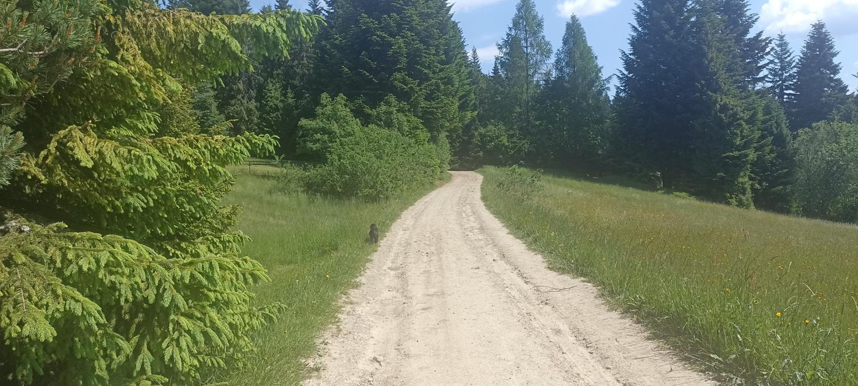 Photo 26