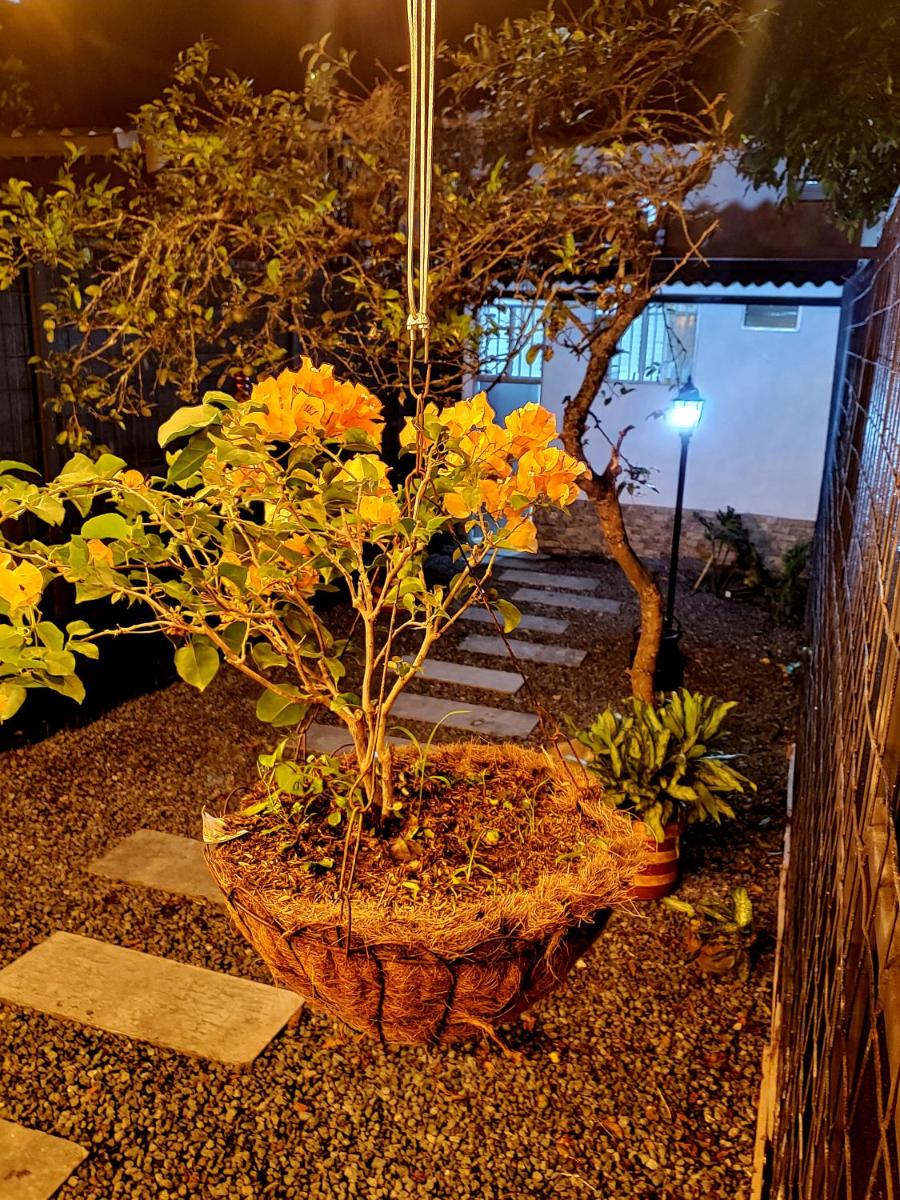 Quimbaya, garden house