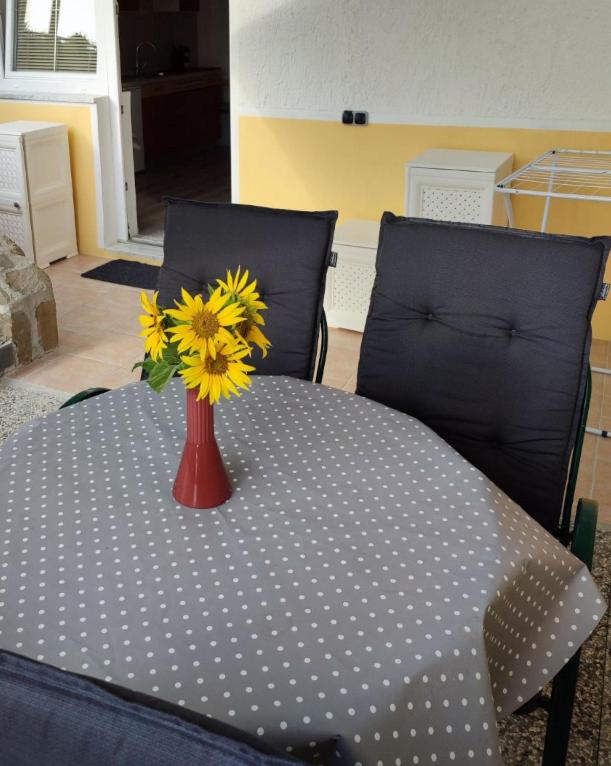 Apartma na vasi view 5