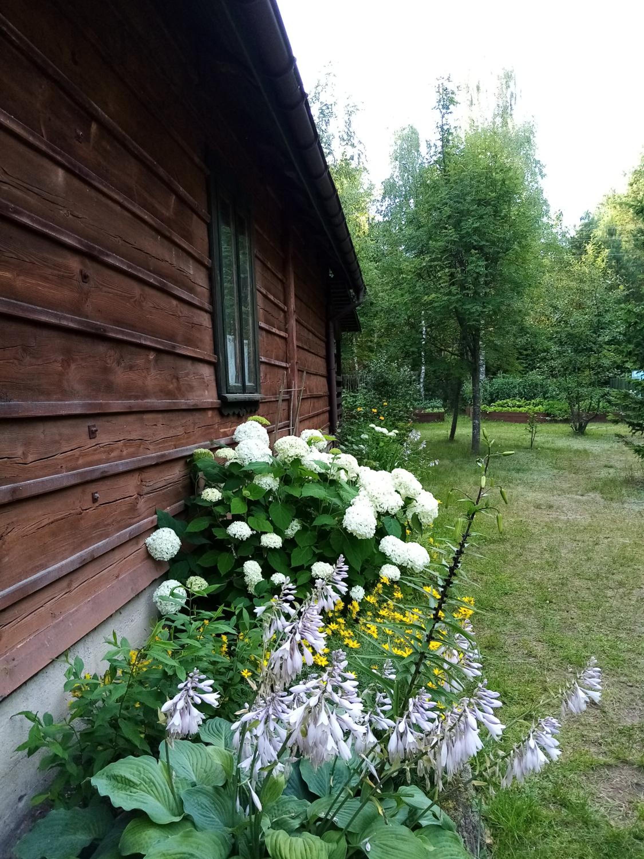 Photo 56