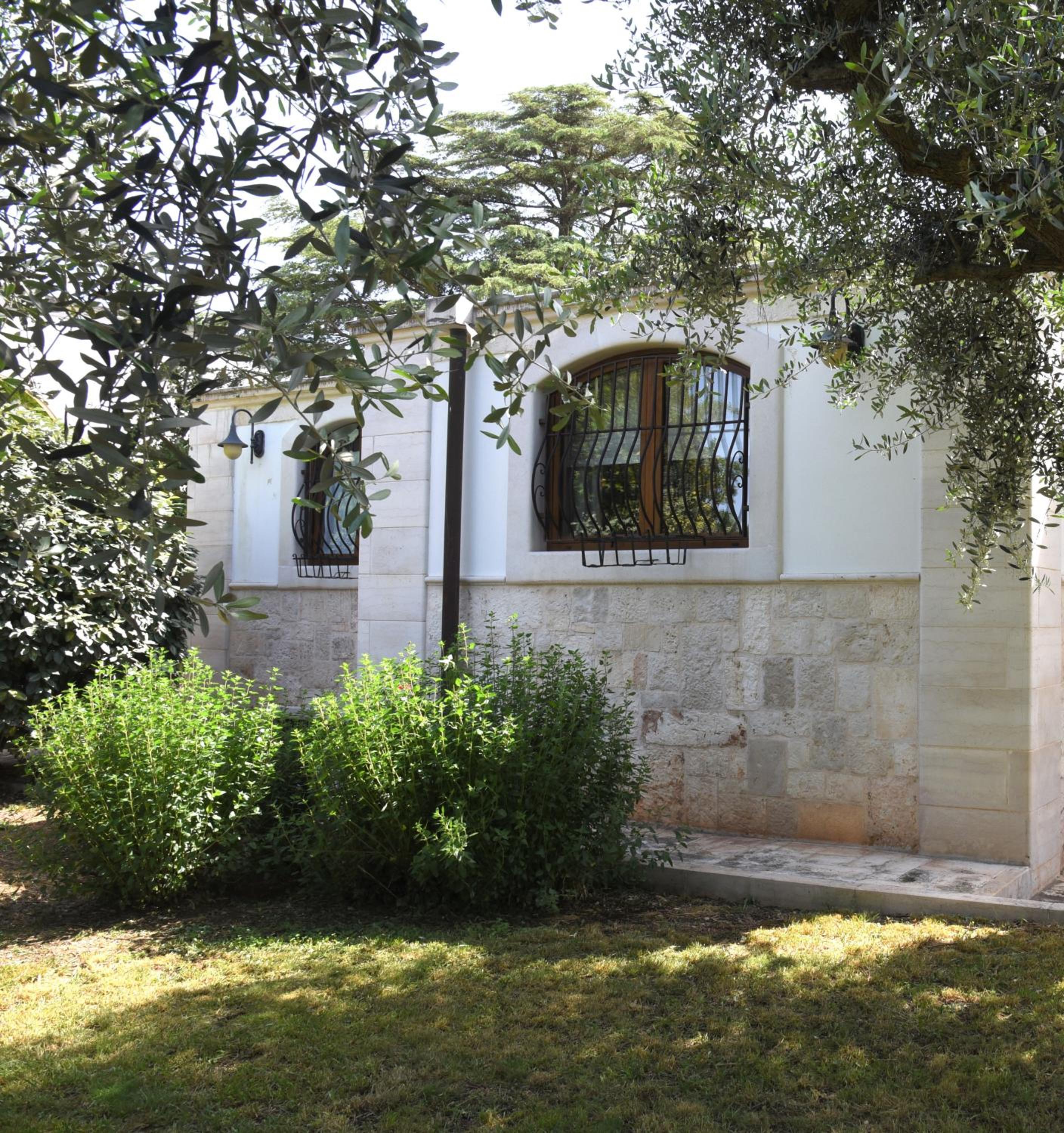 Photo 20