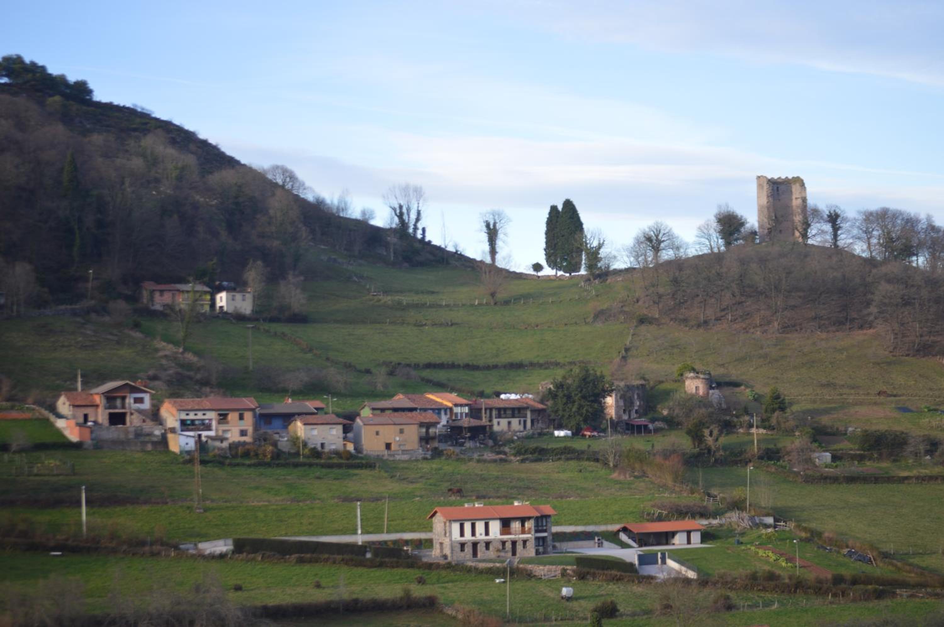 Photo 44