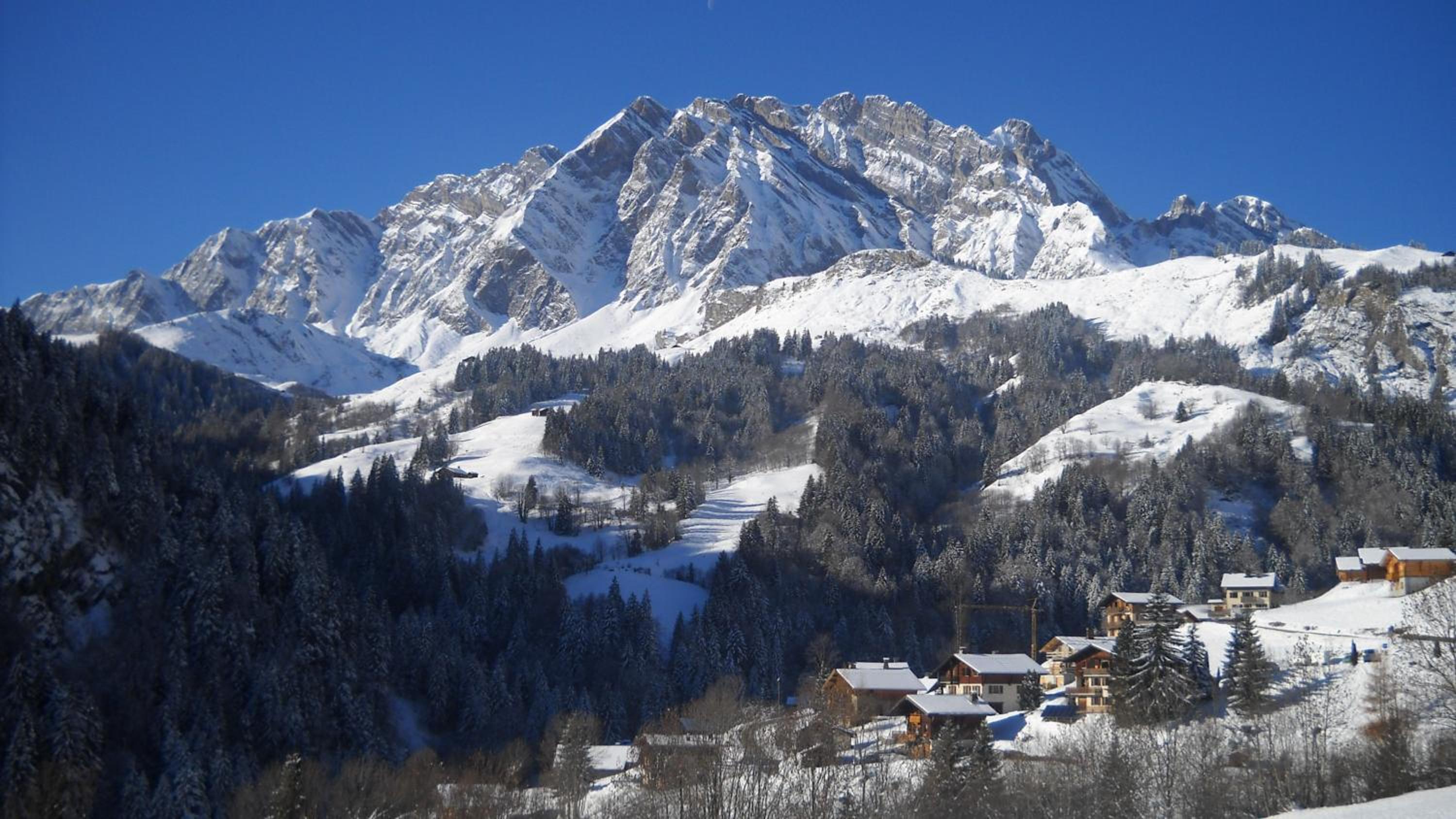 Apartment Residence Les Alpages view 2