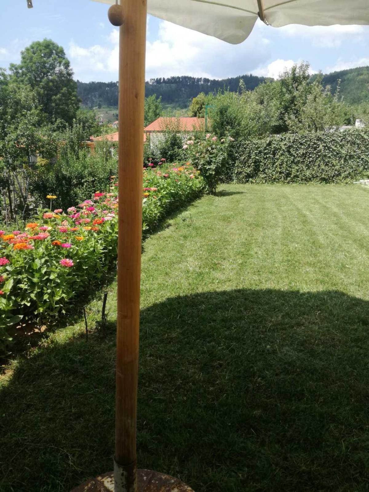 Photo 39