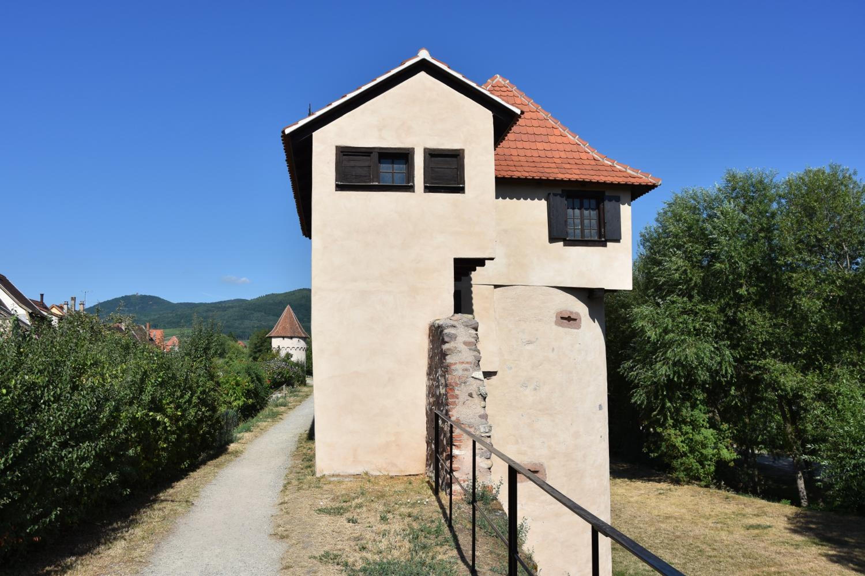 s'Harzala Vert