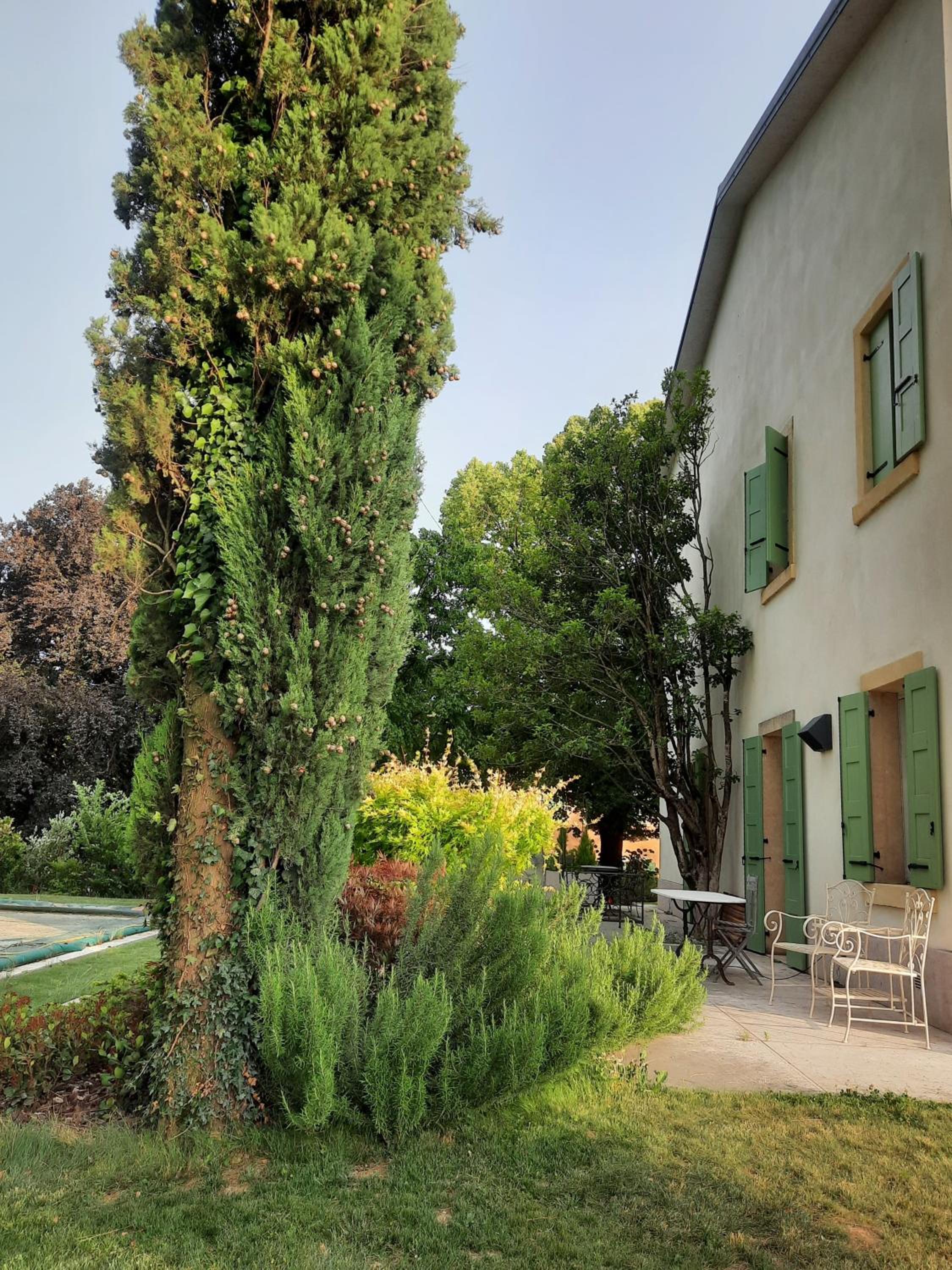 Photo 41