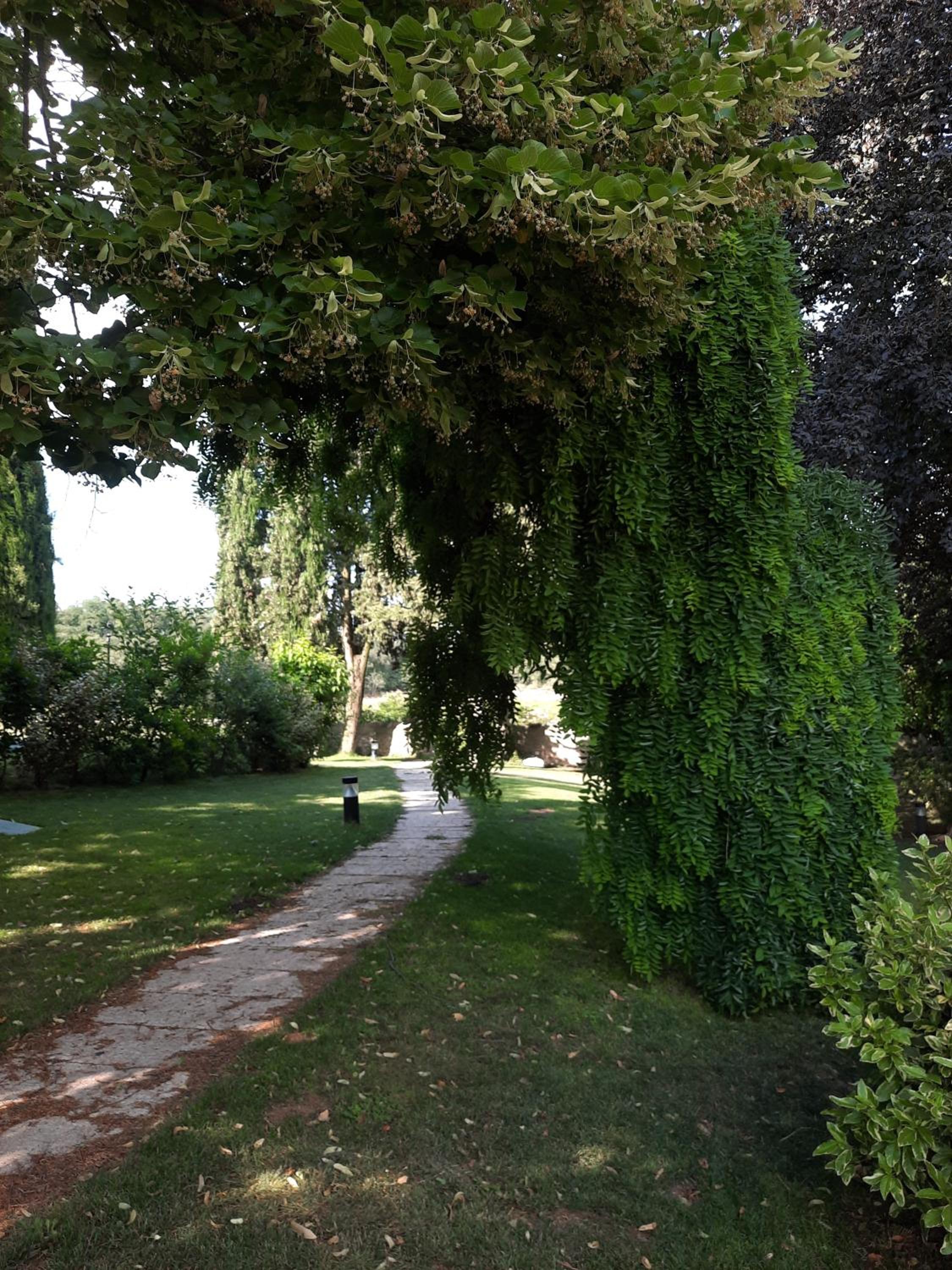 Photo 39