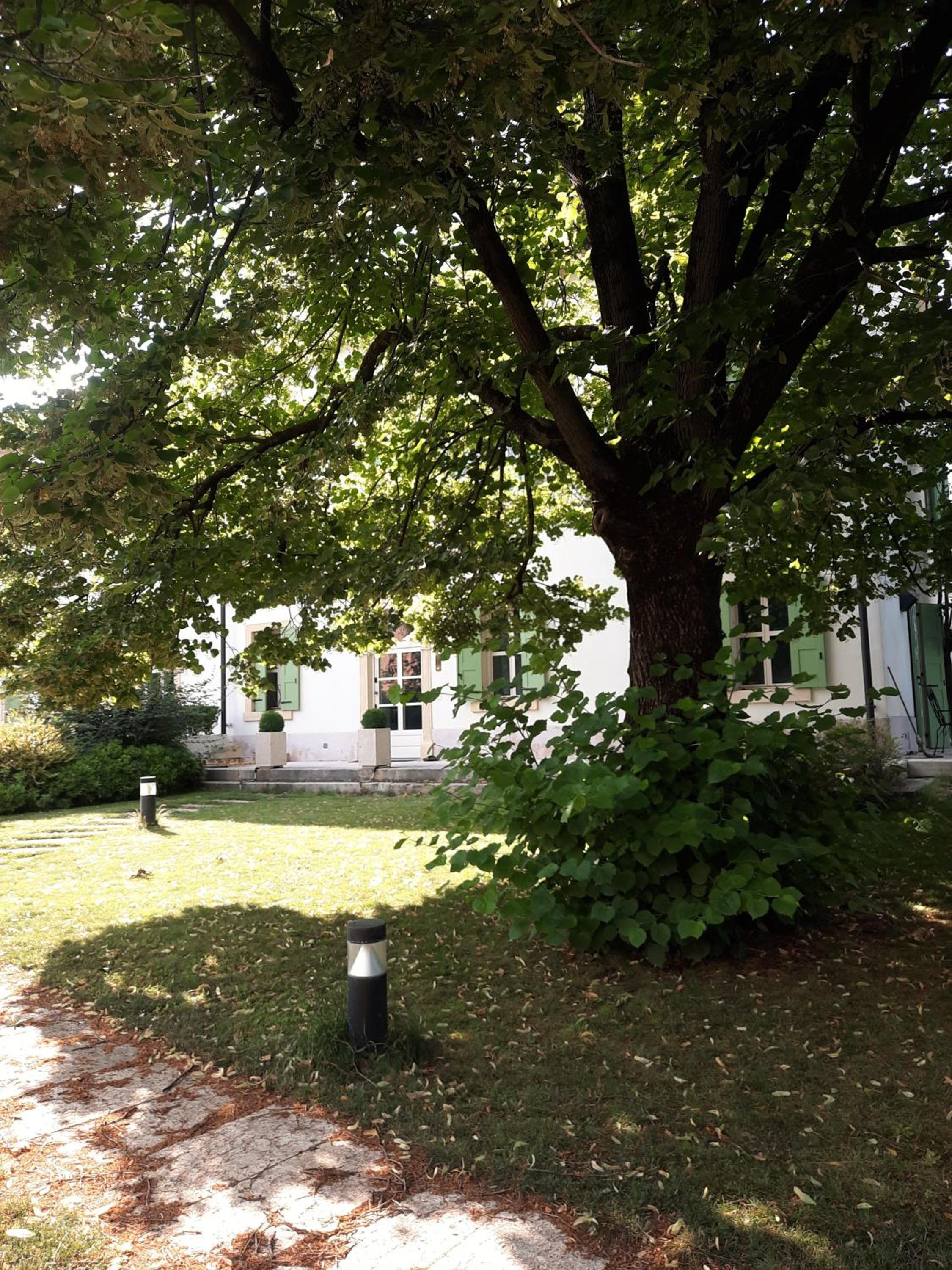 Photo 36