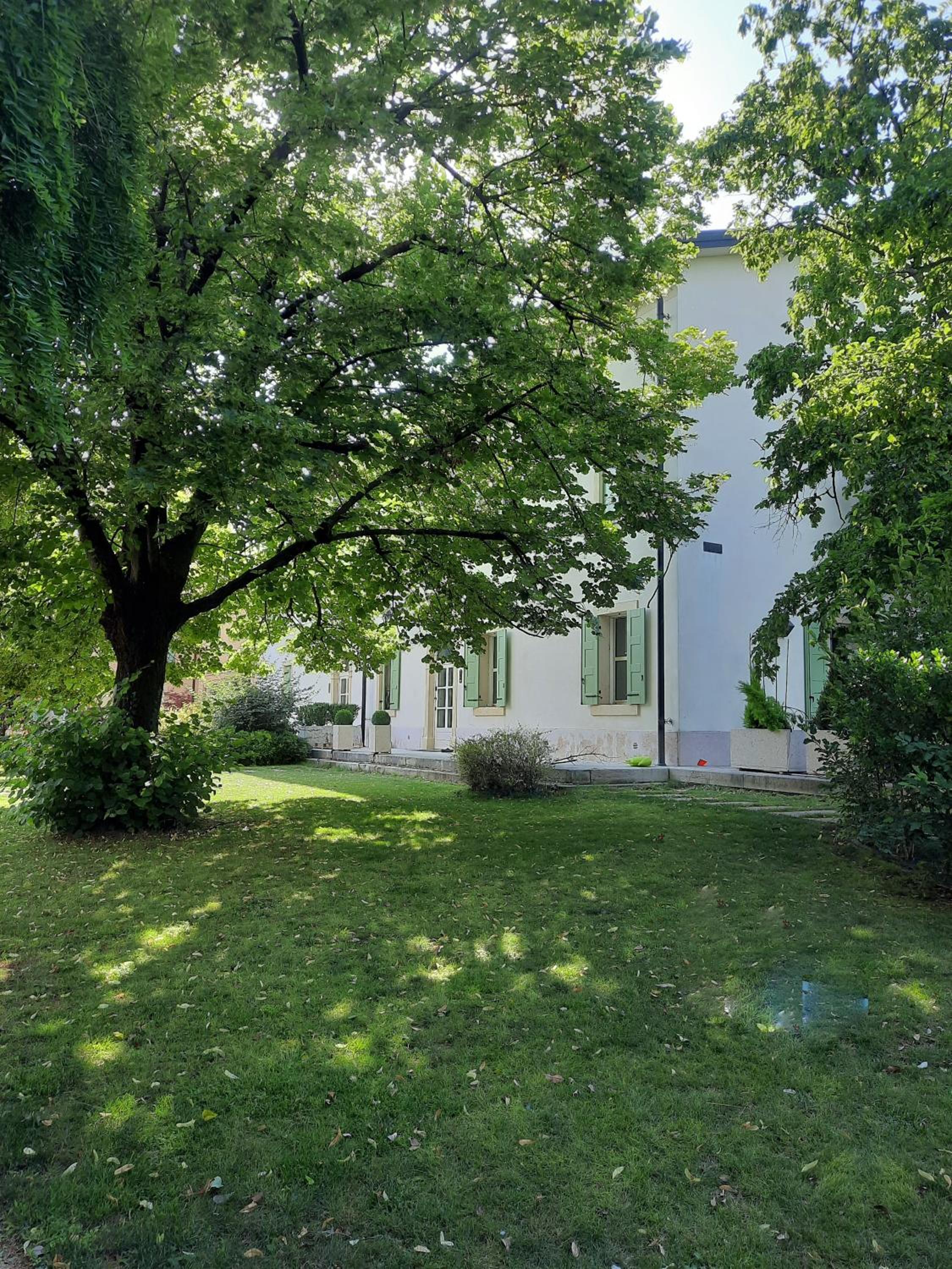 Photo 26