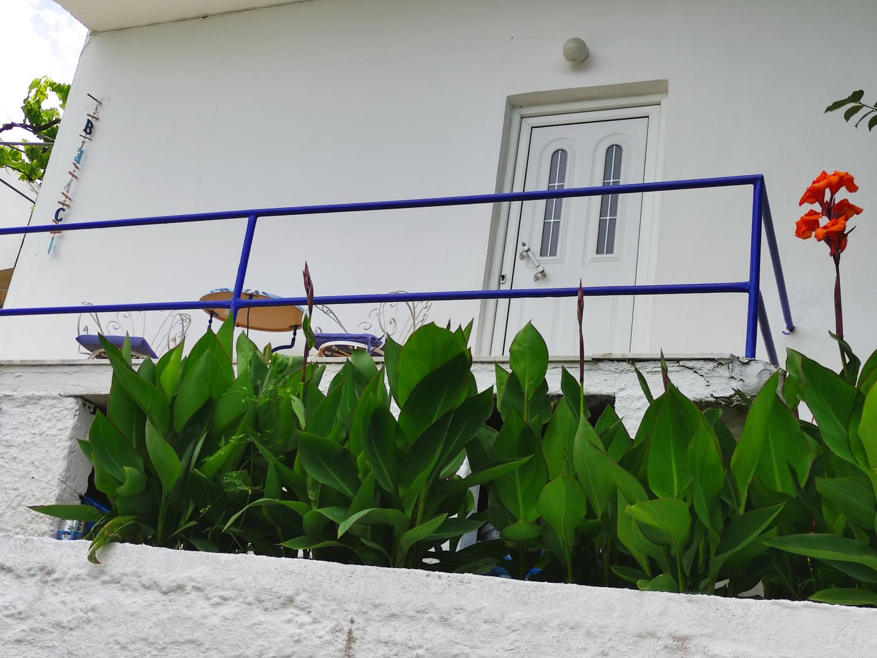 Blue and White Apartments 1