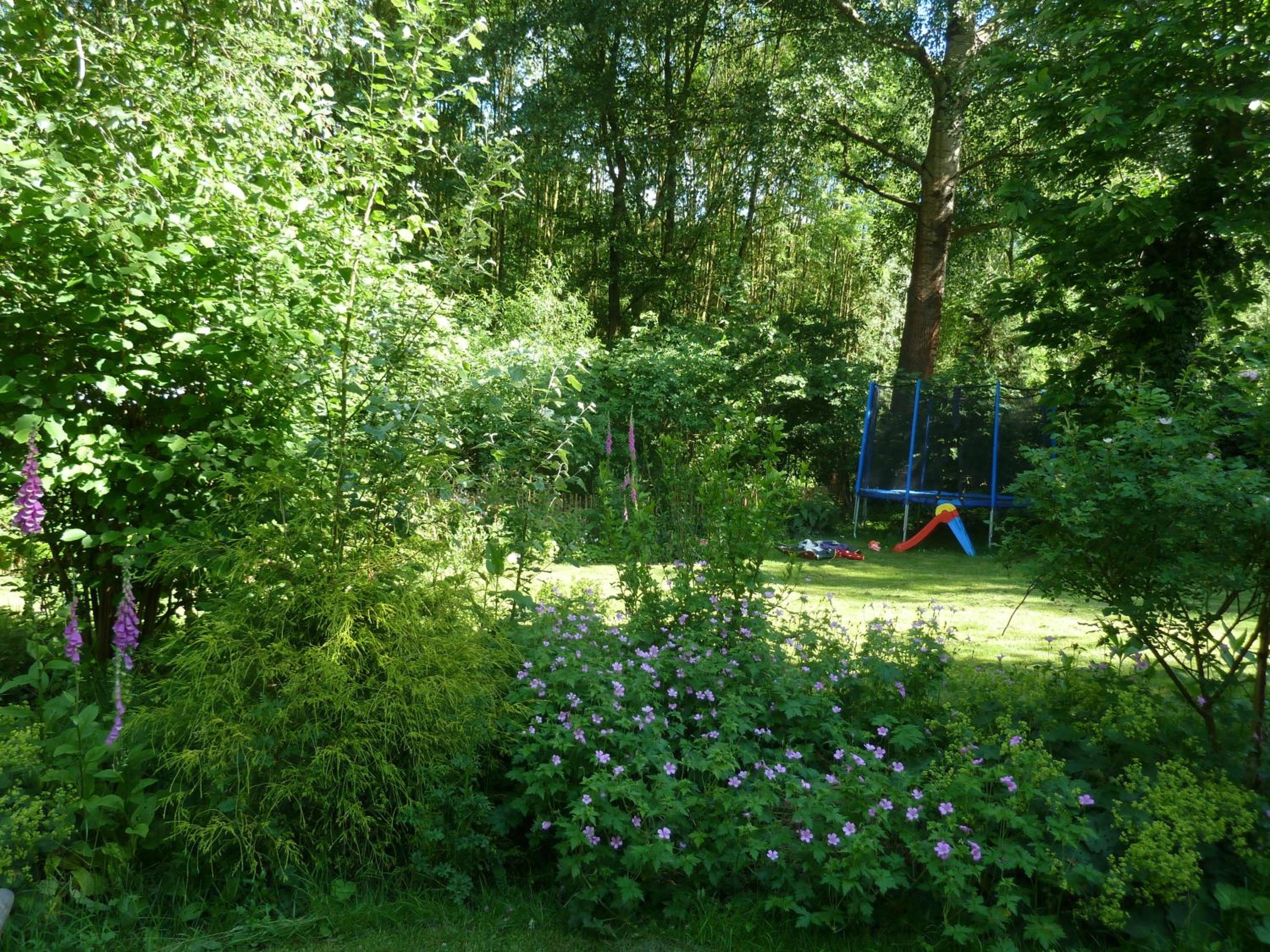 Holiday home Elena view 5