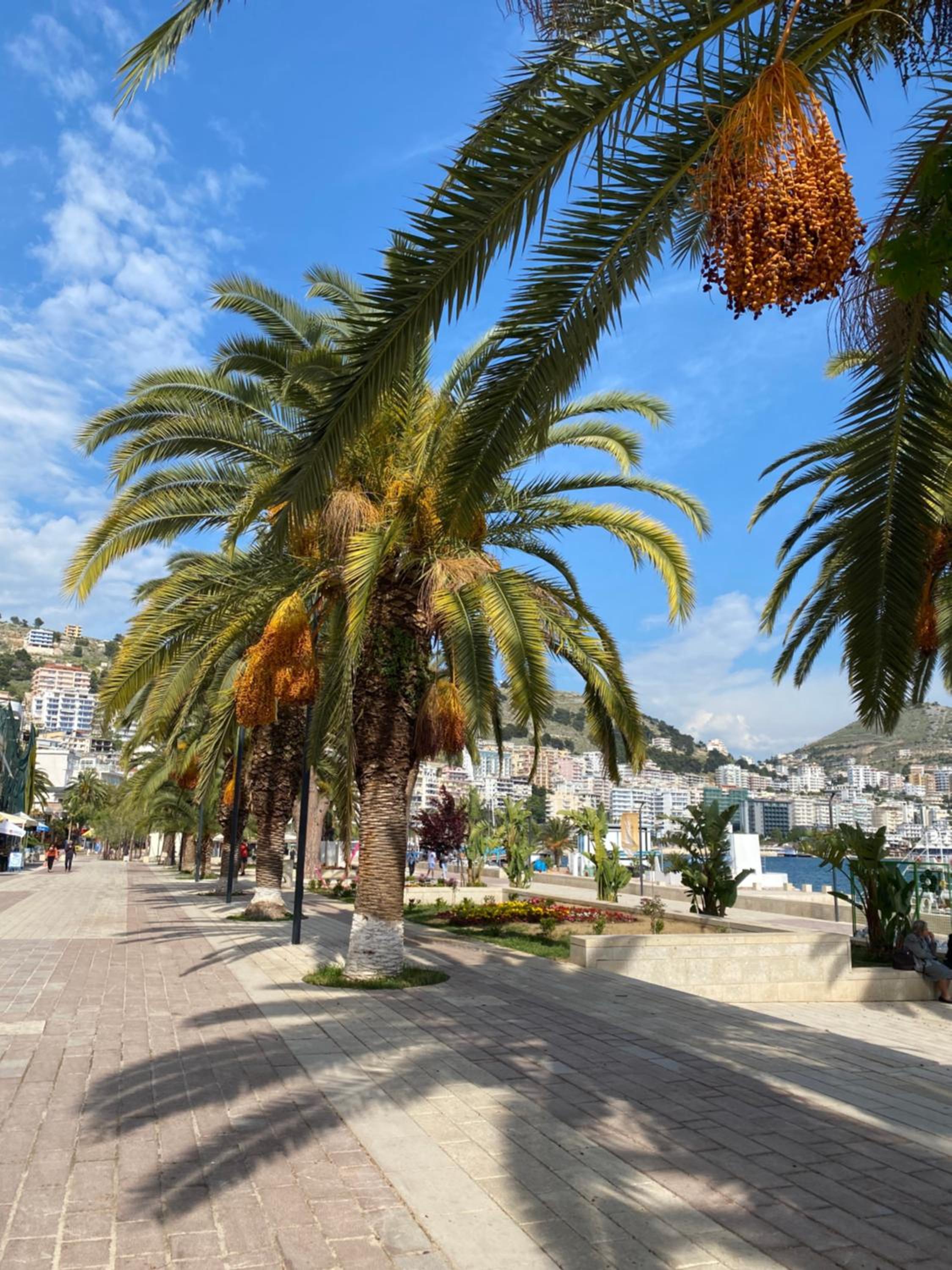 Sunny Apartament Saranda 2