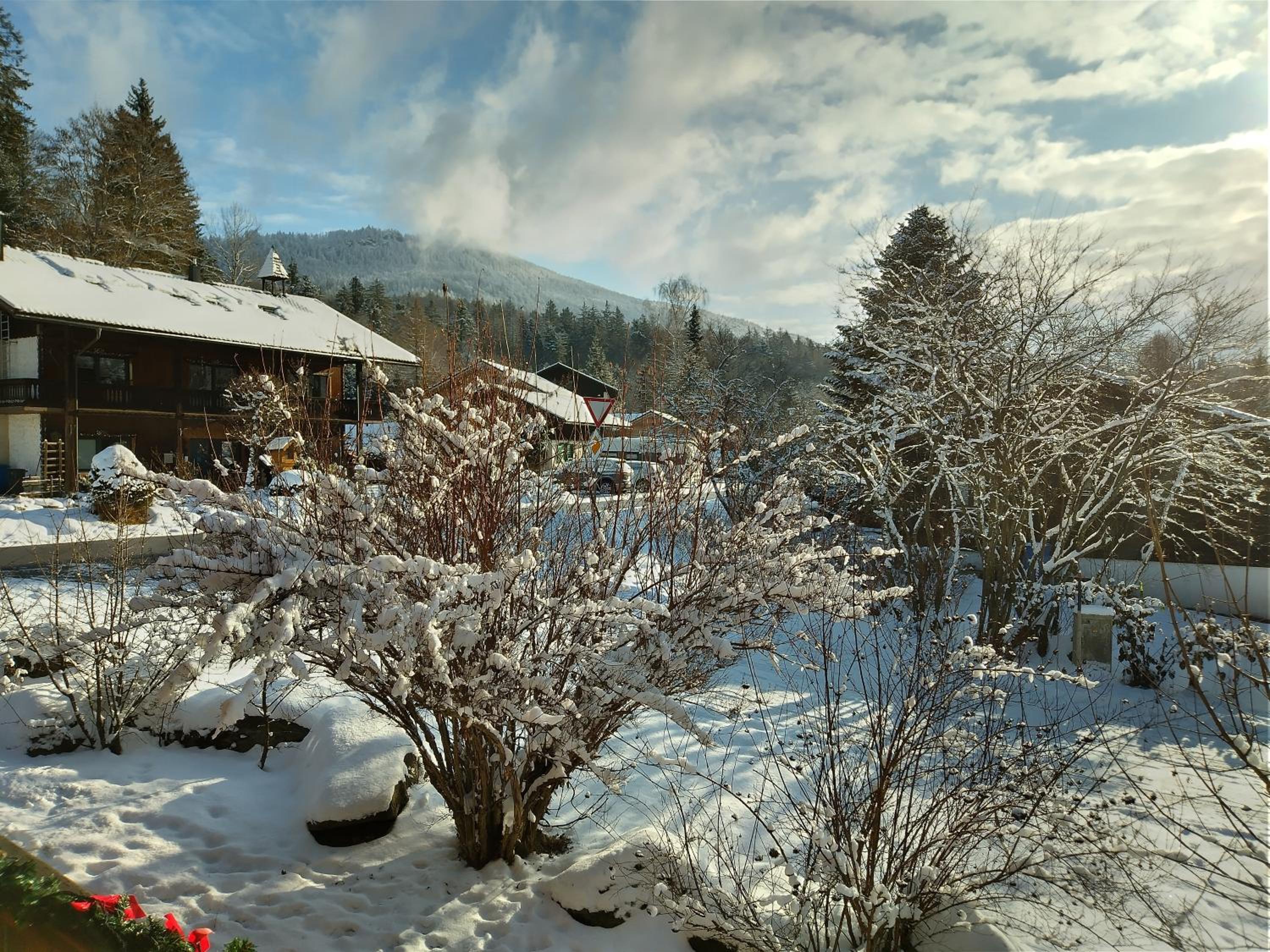 Hüttenzauber Ferienwohnung mitten im Nationalpark