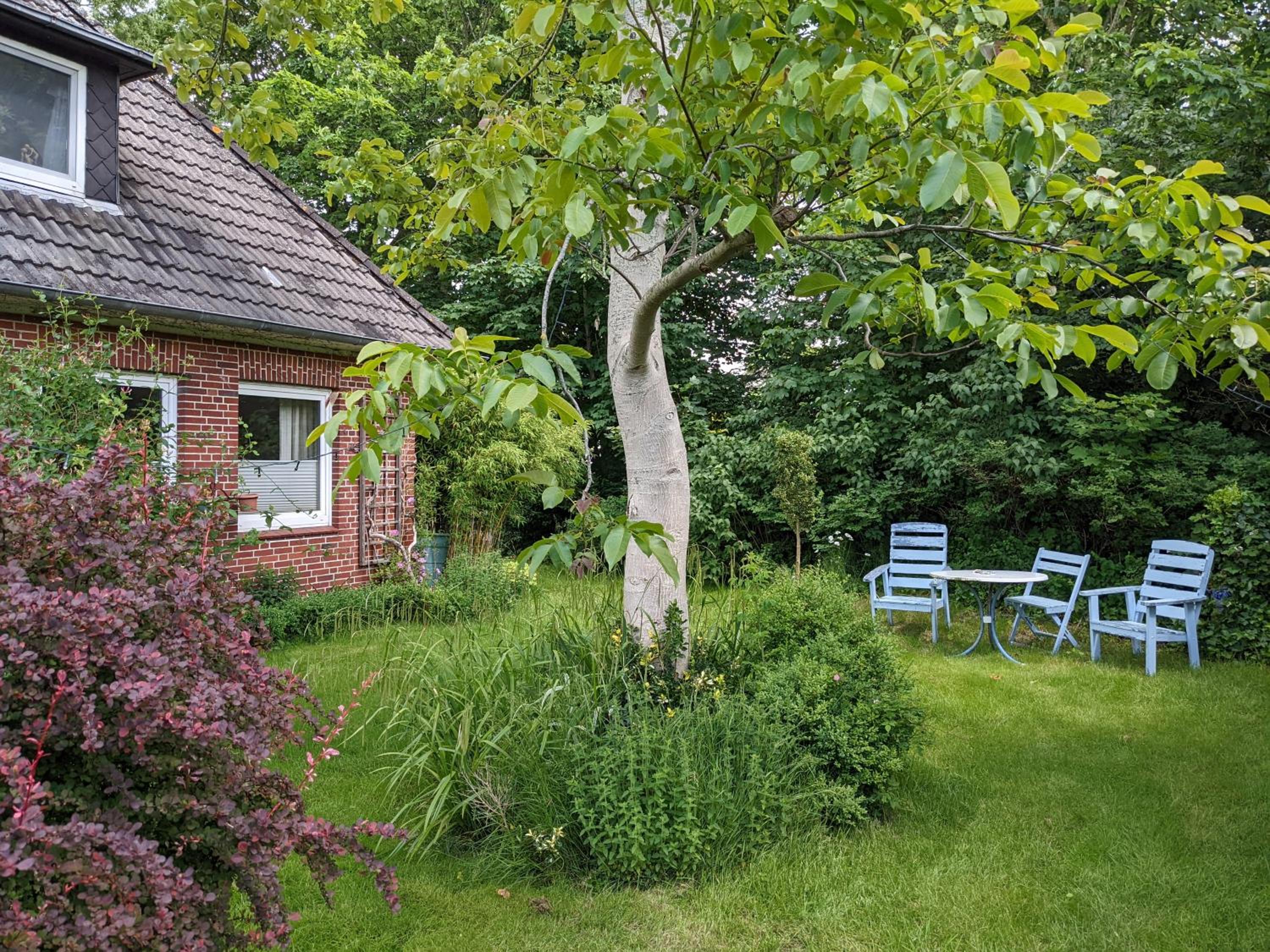 Charmantes Ferienhaus in Nordfriesland