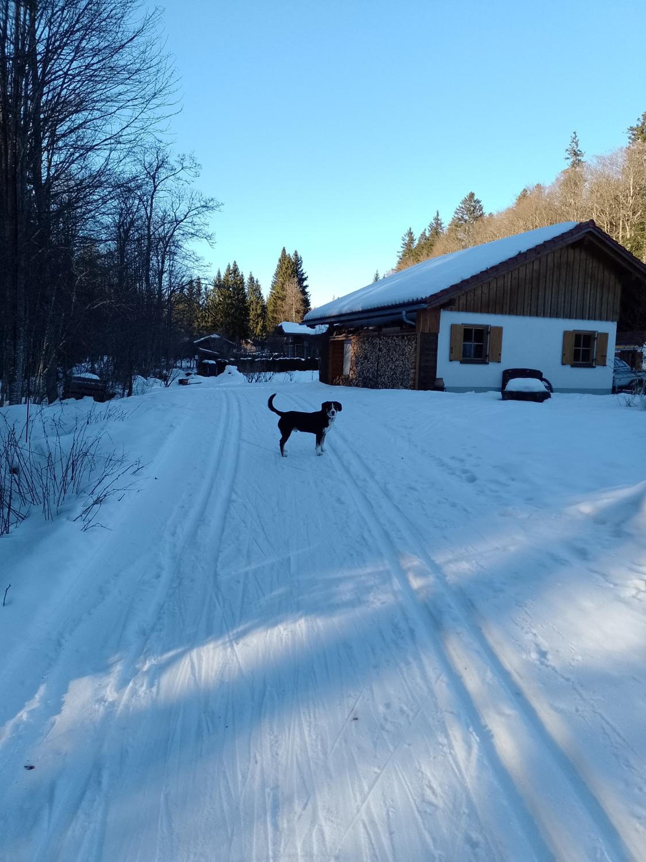 Hüttenzauber Ferienwohnung mitten im Nationalpark