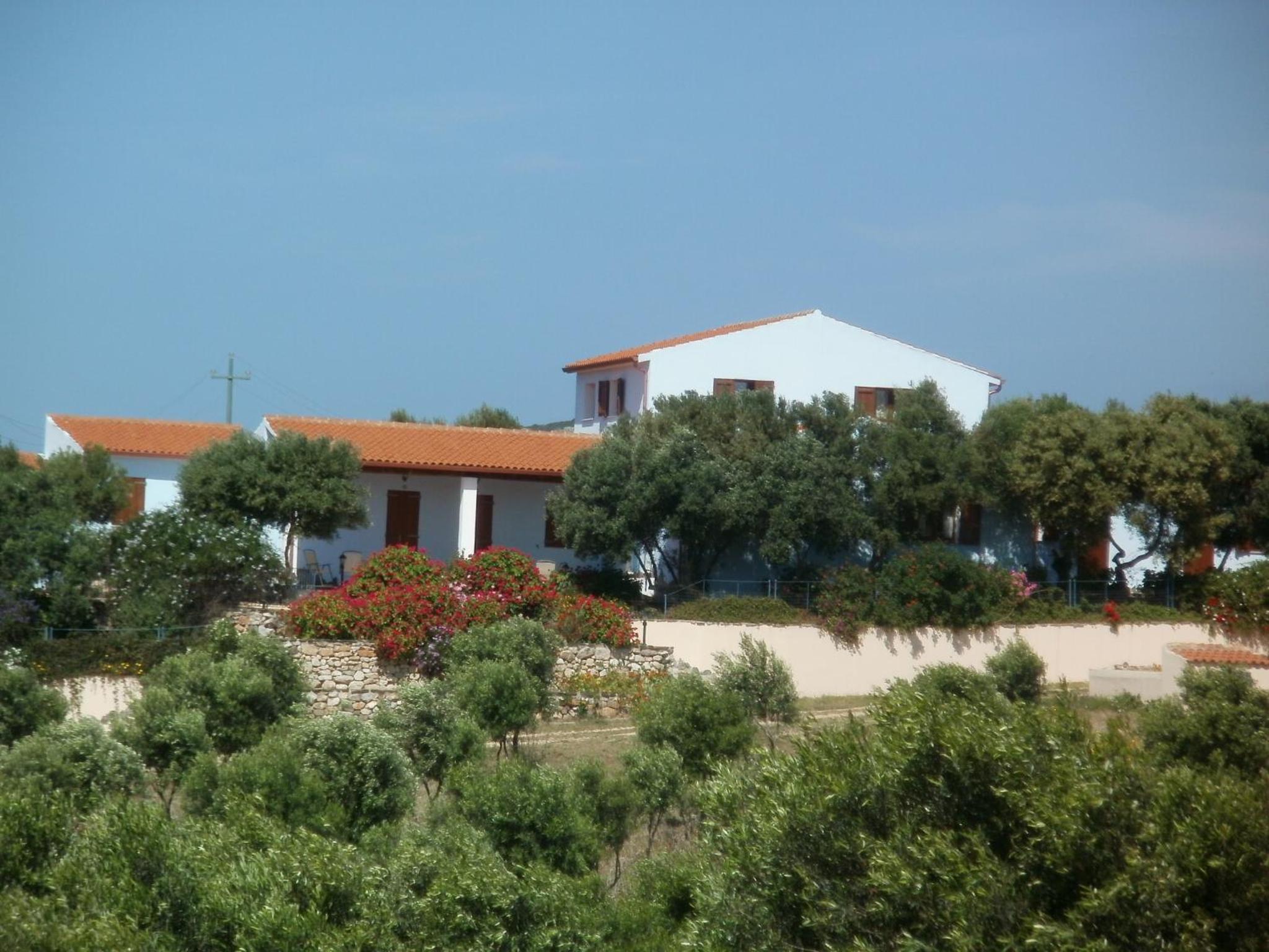 Photo 25