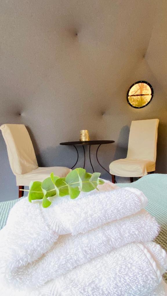 Don Aniceto Lodges & Glamping