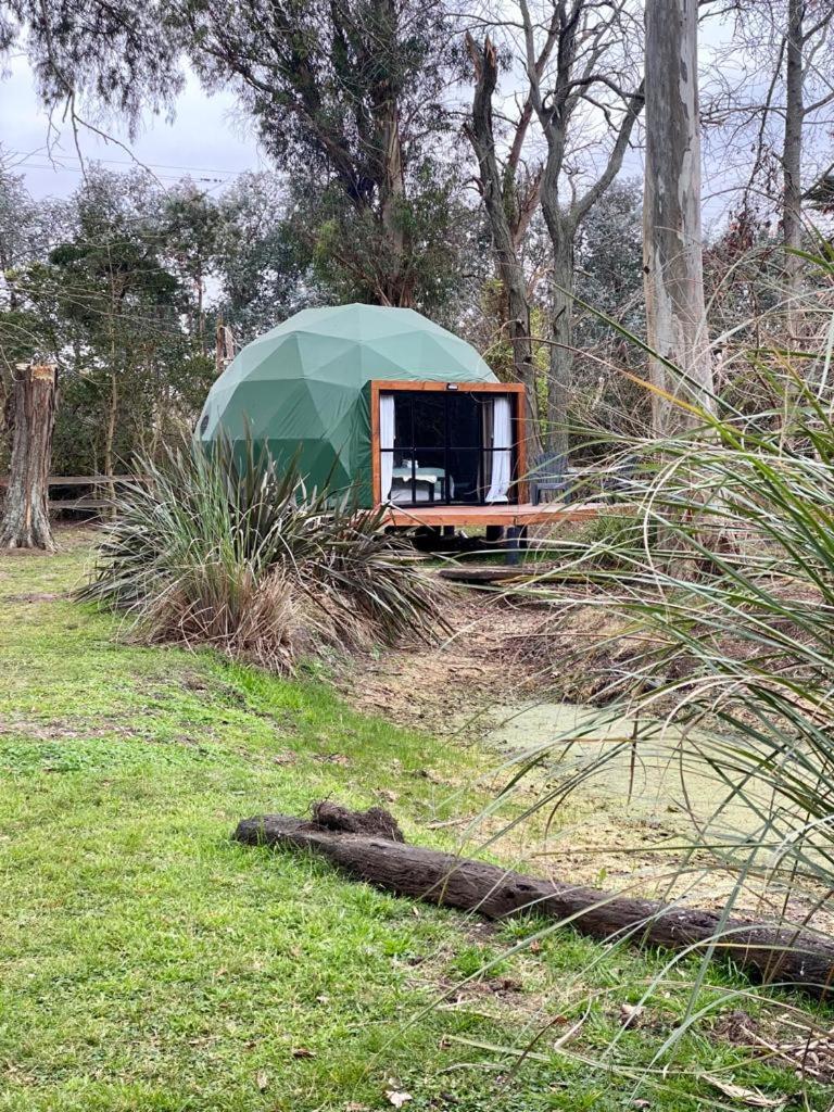 Don Aniceto Lodges & Glamping