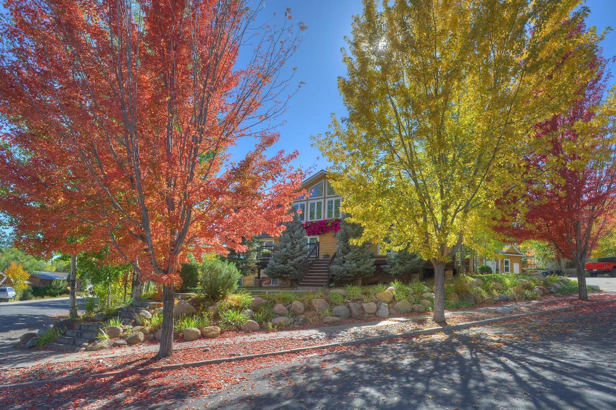 OReilly Garden House view 3