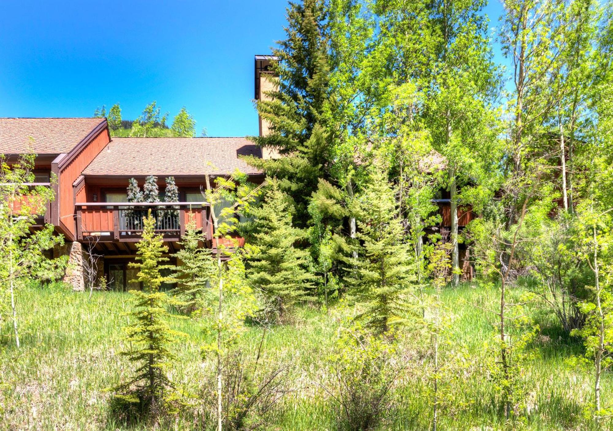 2875 Manns Ranch Road Unit D1 view 5