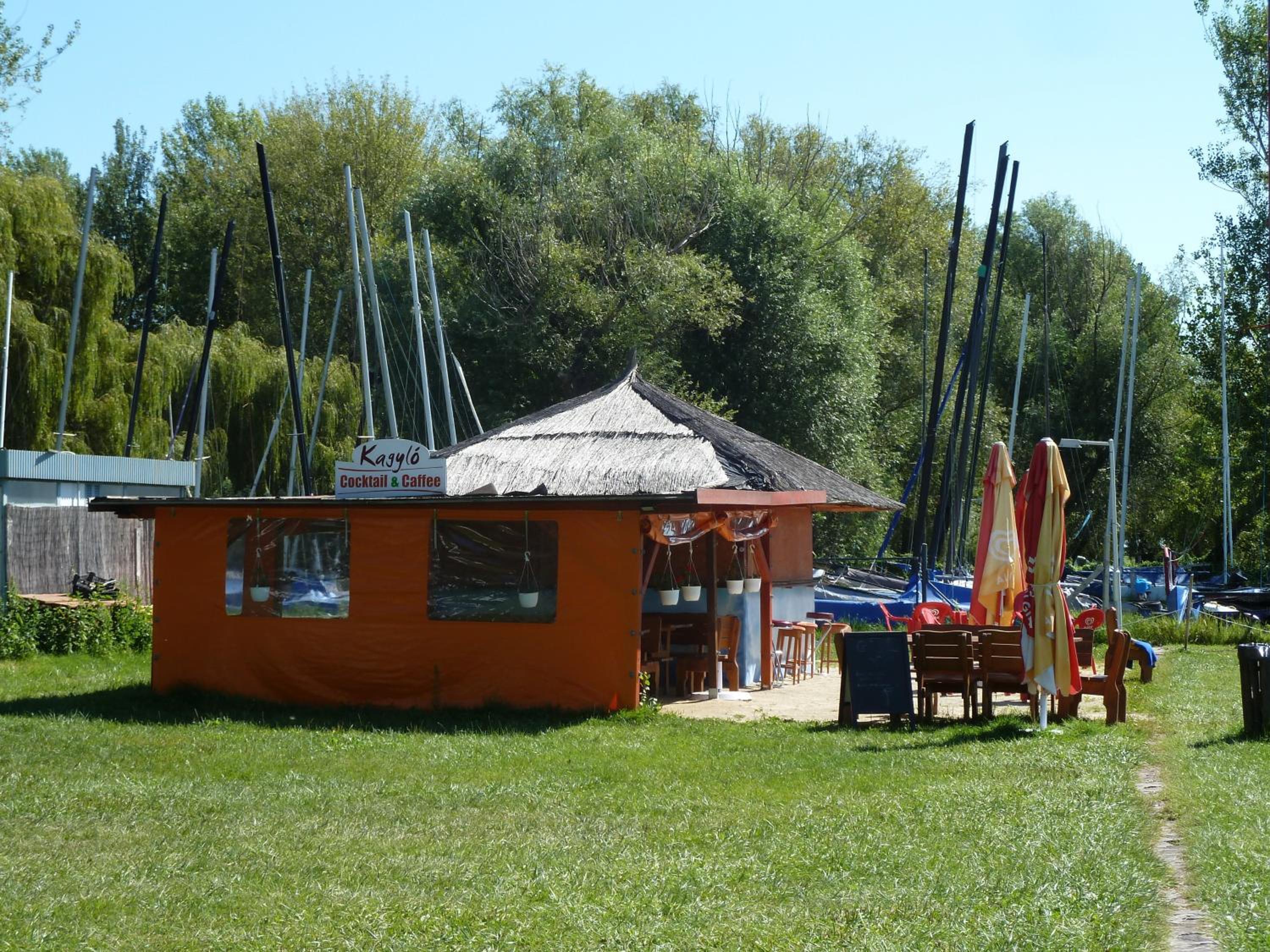Photo 46