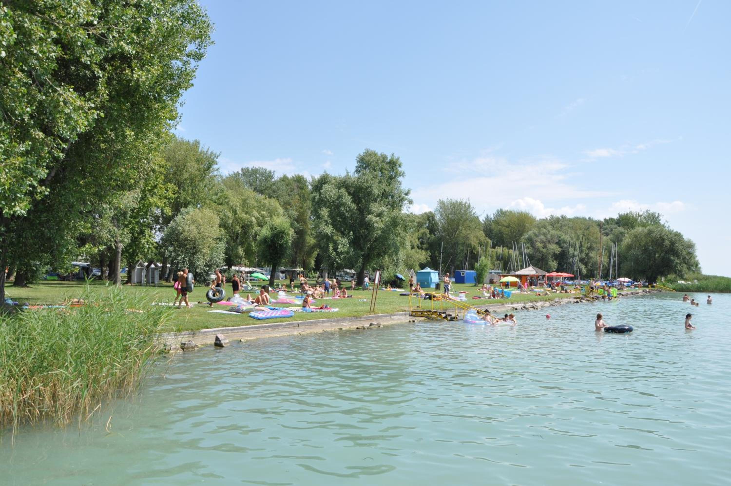 Photo 44